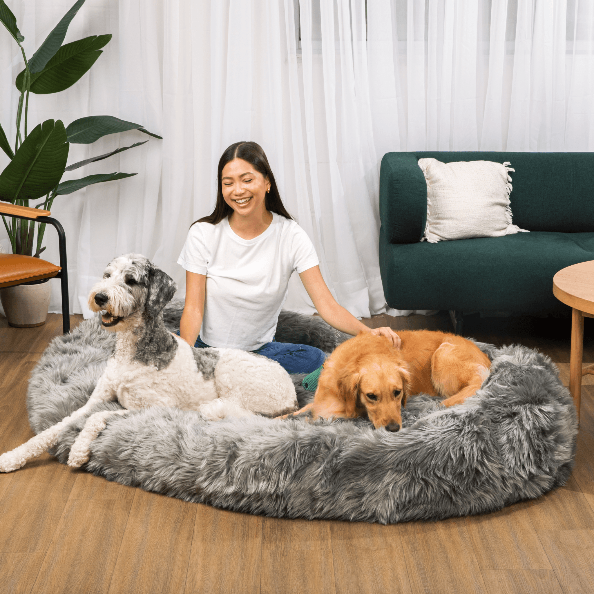 PupCloud™ Human-Size Dog Bed + Matching Waterproof Blanket Bundle - Charcoal Grey、mySite、solidvoid