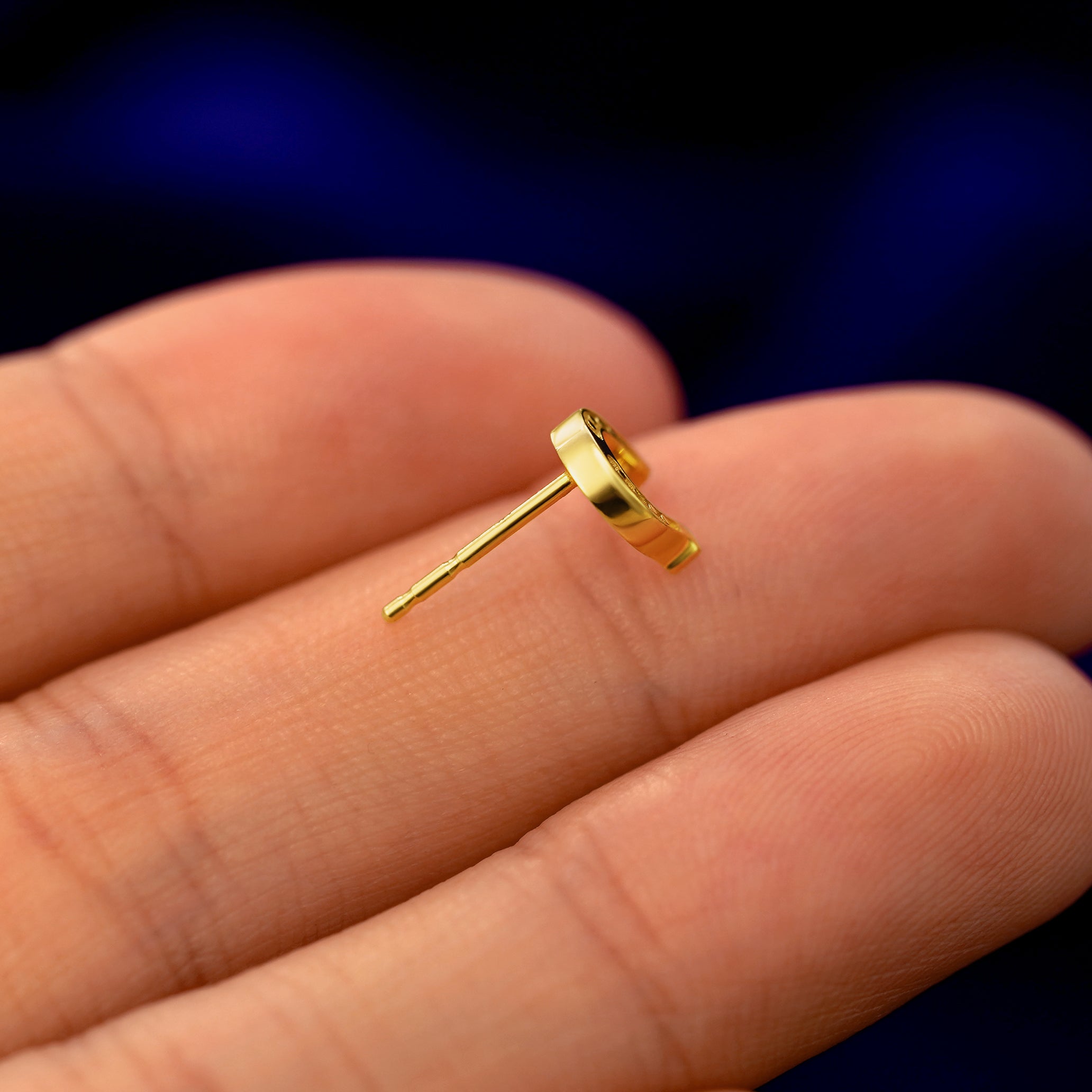 Horseshoe Earring、mySite、hinf8tx79