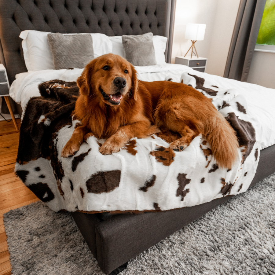 PupProtector™ Waterproof Throw Blanket - Brown Faux Cowhide、mySite、solidvoid