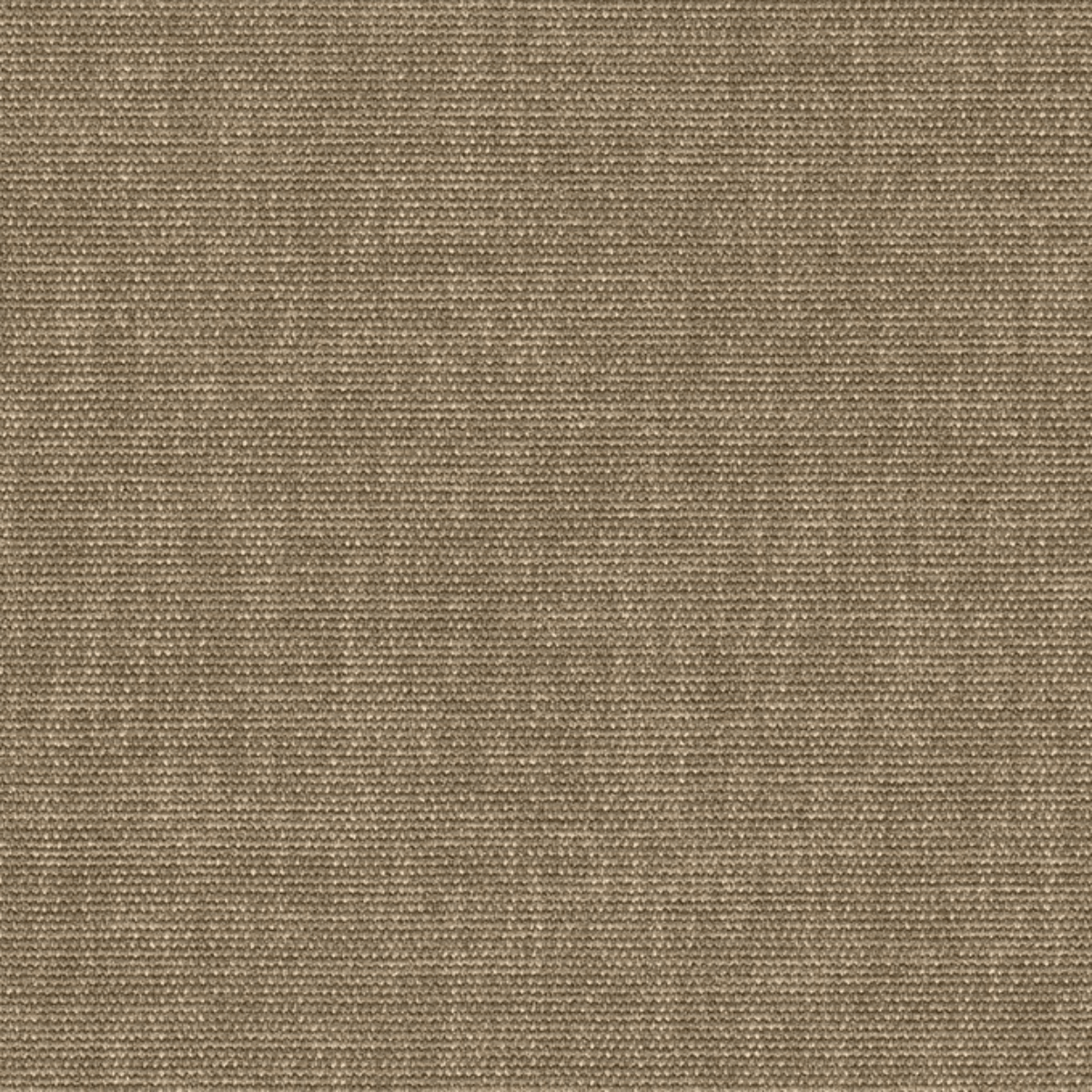 Grade B: Everglade EV210、mySite、neckold