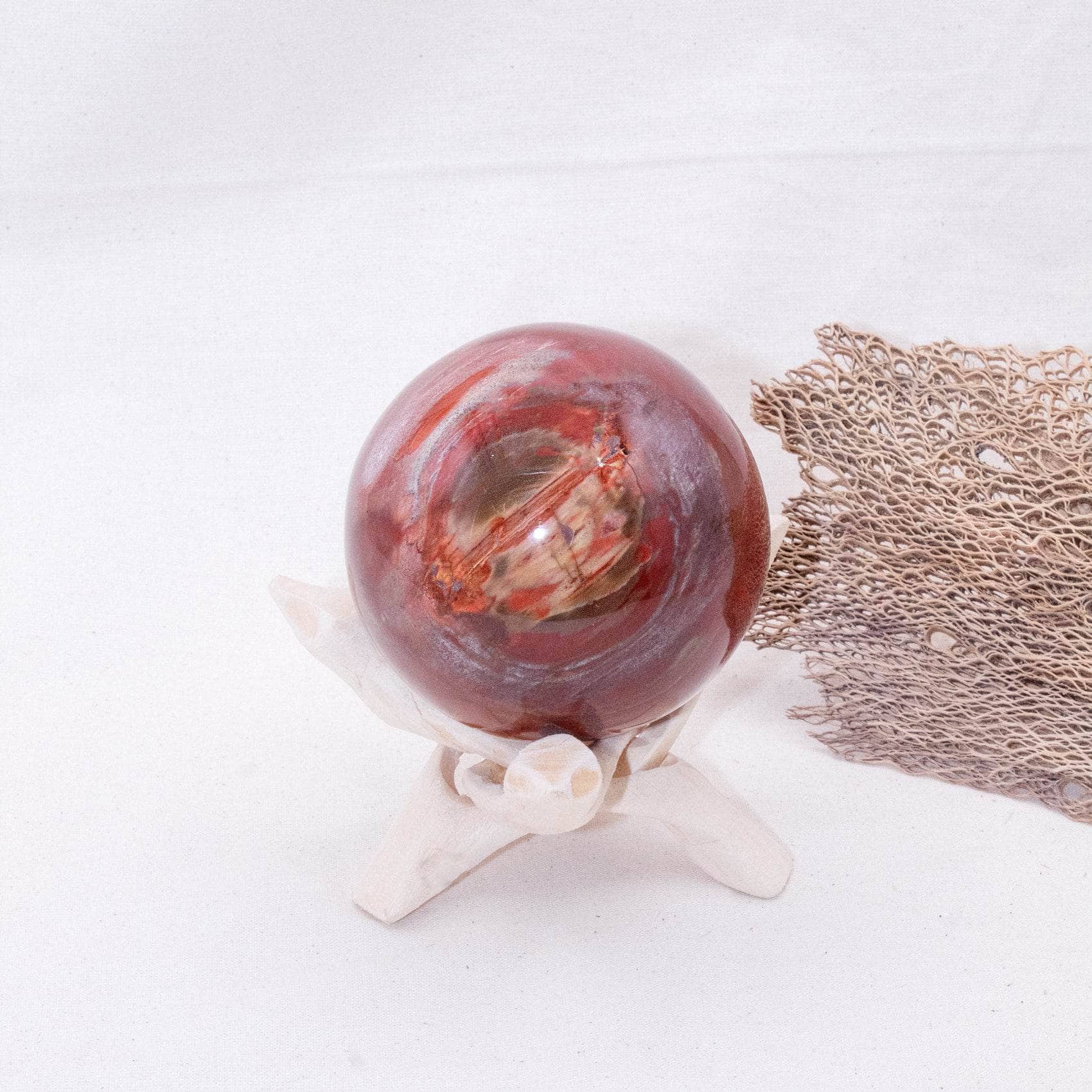 Petrified Wood Sphere - AAA Premium Quality、mySite、hinf8tx79