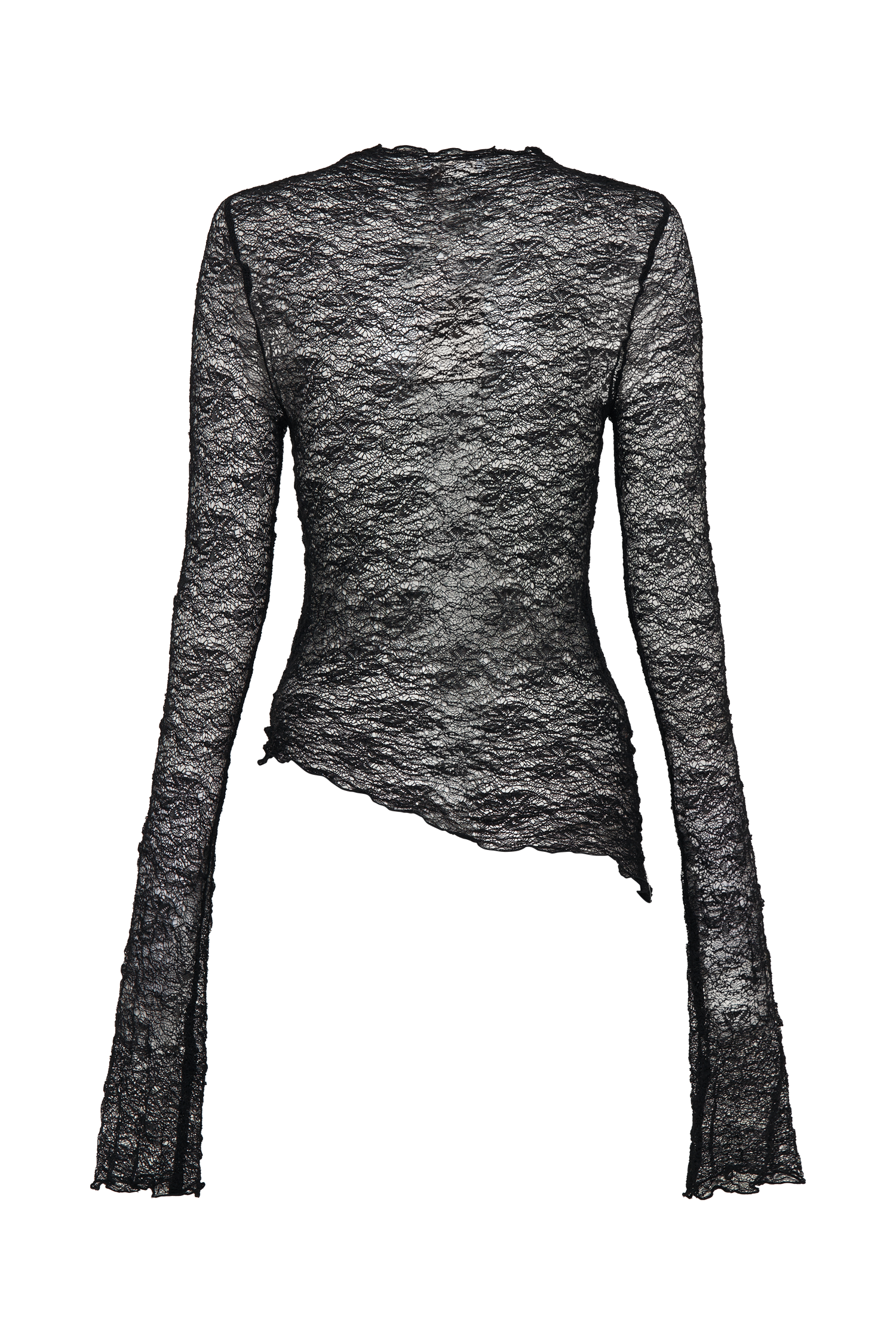 Riley Sheer Lace Long Sleeve Top - Black、mySite、solidvoid