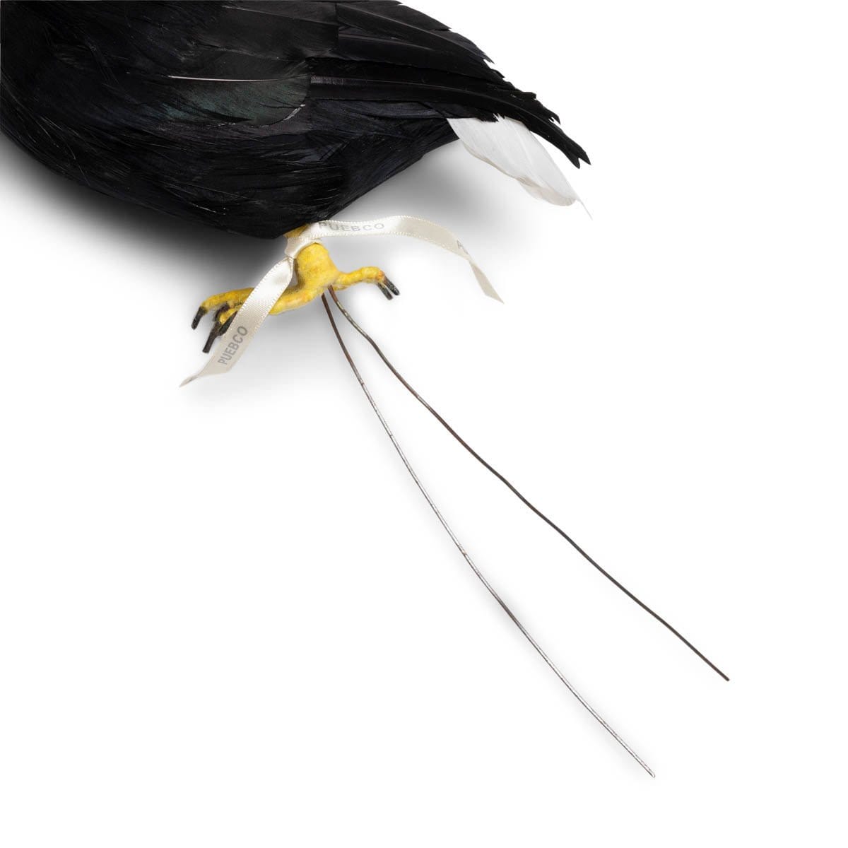ARTIFICIAL BIRDS: BALD EAGLE、mySite、zt4zffjzw