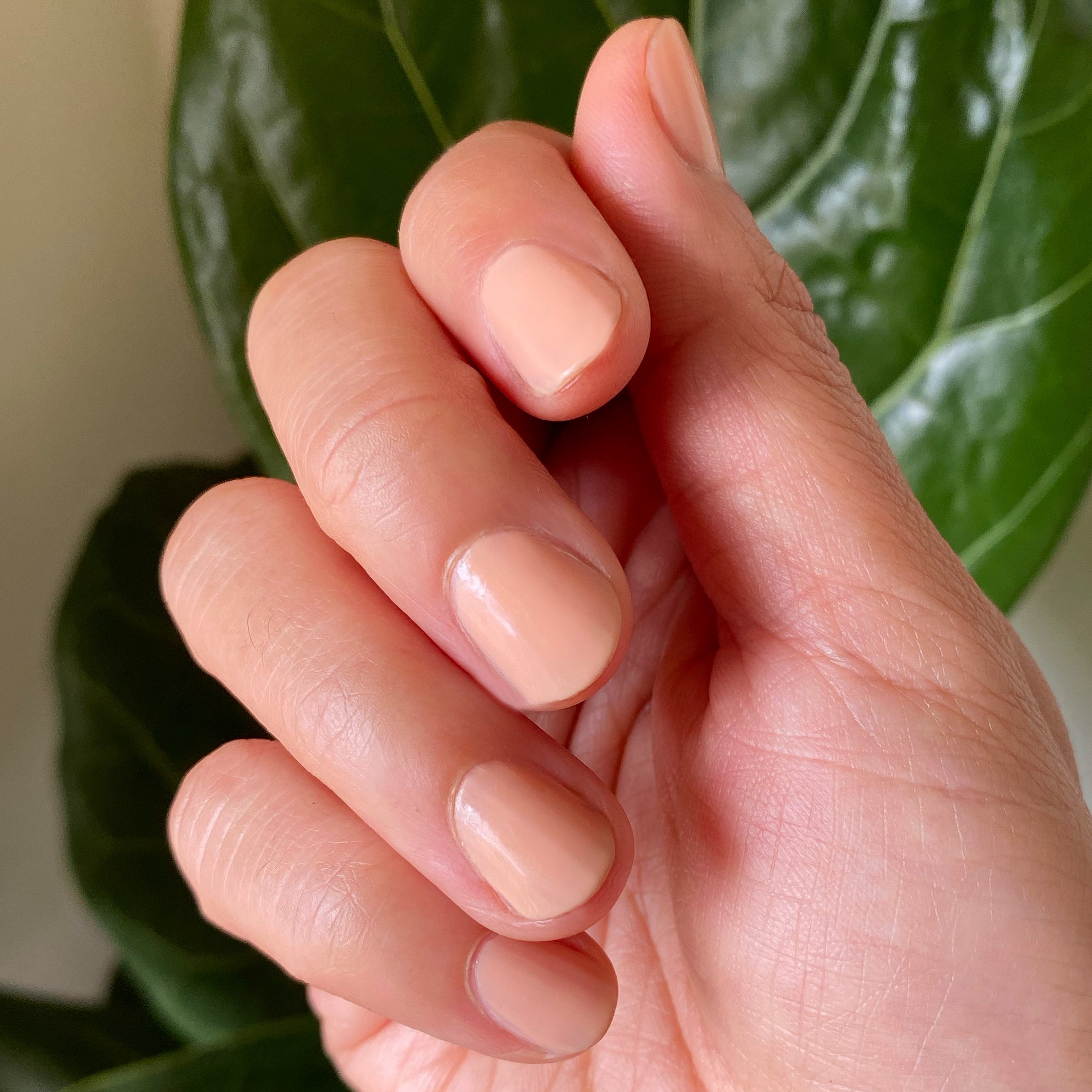 JO、mySite、solidvoid