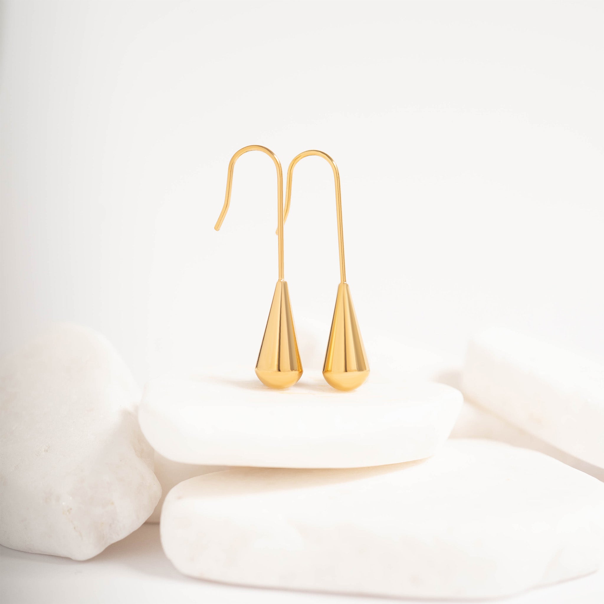 18K Gold PVD Stainless Steel Drop Earrings / ERJ0064、mySite、dreamappss