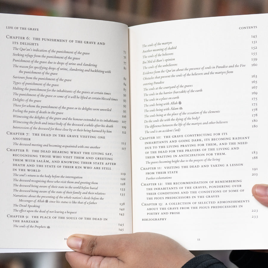 Life of the Grave: Its Delights and Horrors Until Resurrection、mySite、topwebapps