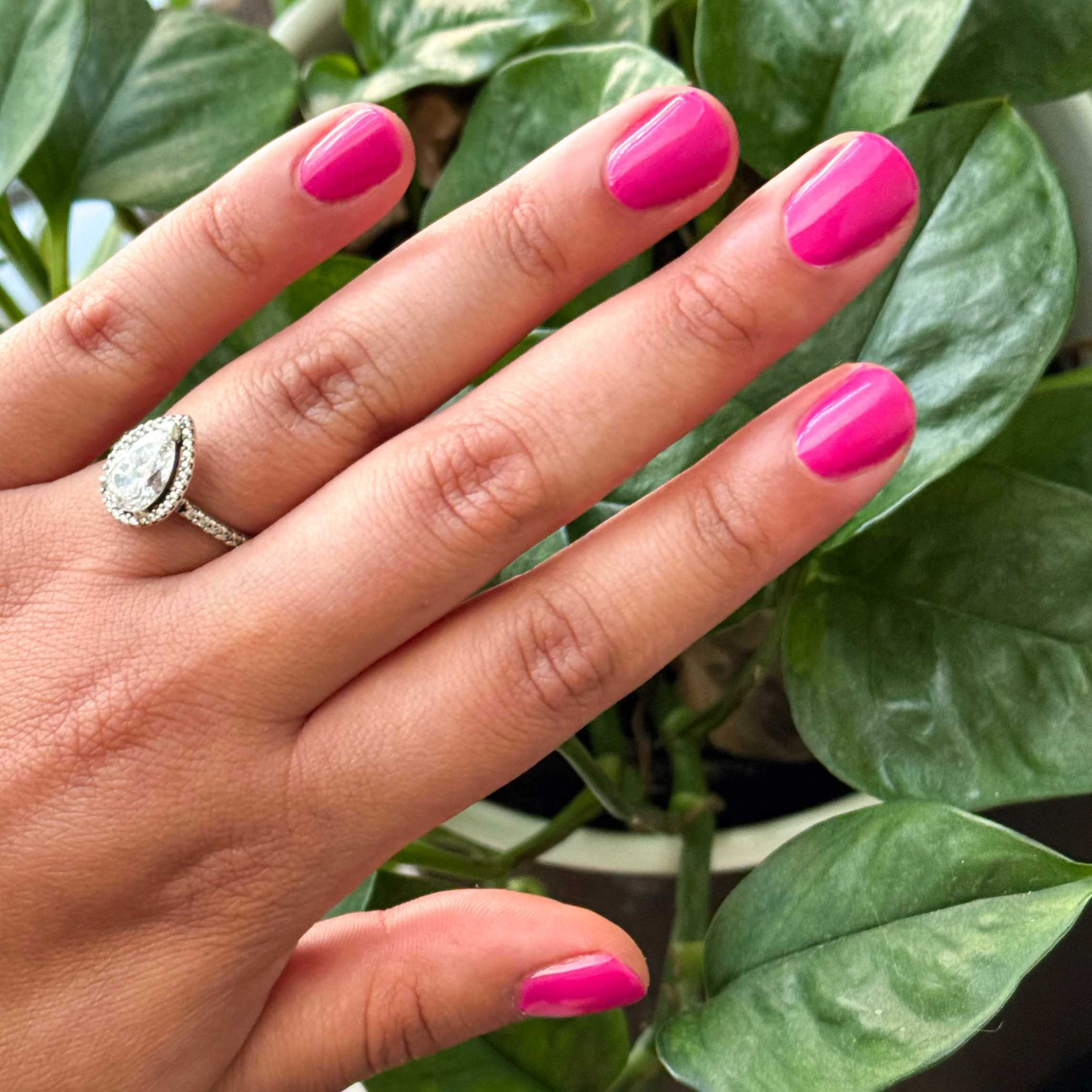 Wild Orchid - Gel、mySite、solidvoid