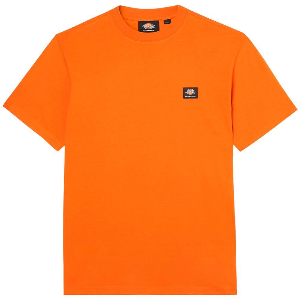  Dickies Mount Vista T-Shirt - Burnt Orange、mySite、merchandisen