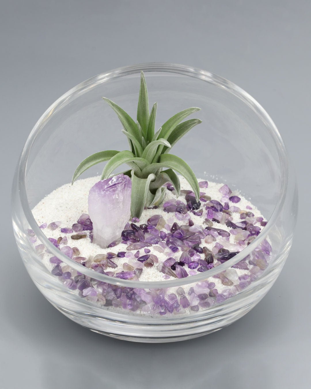 Amethyst Gemstone Healing Crystal Terrarium、mySite、topwebapps