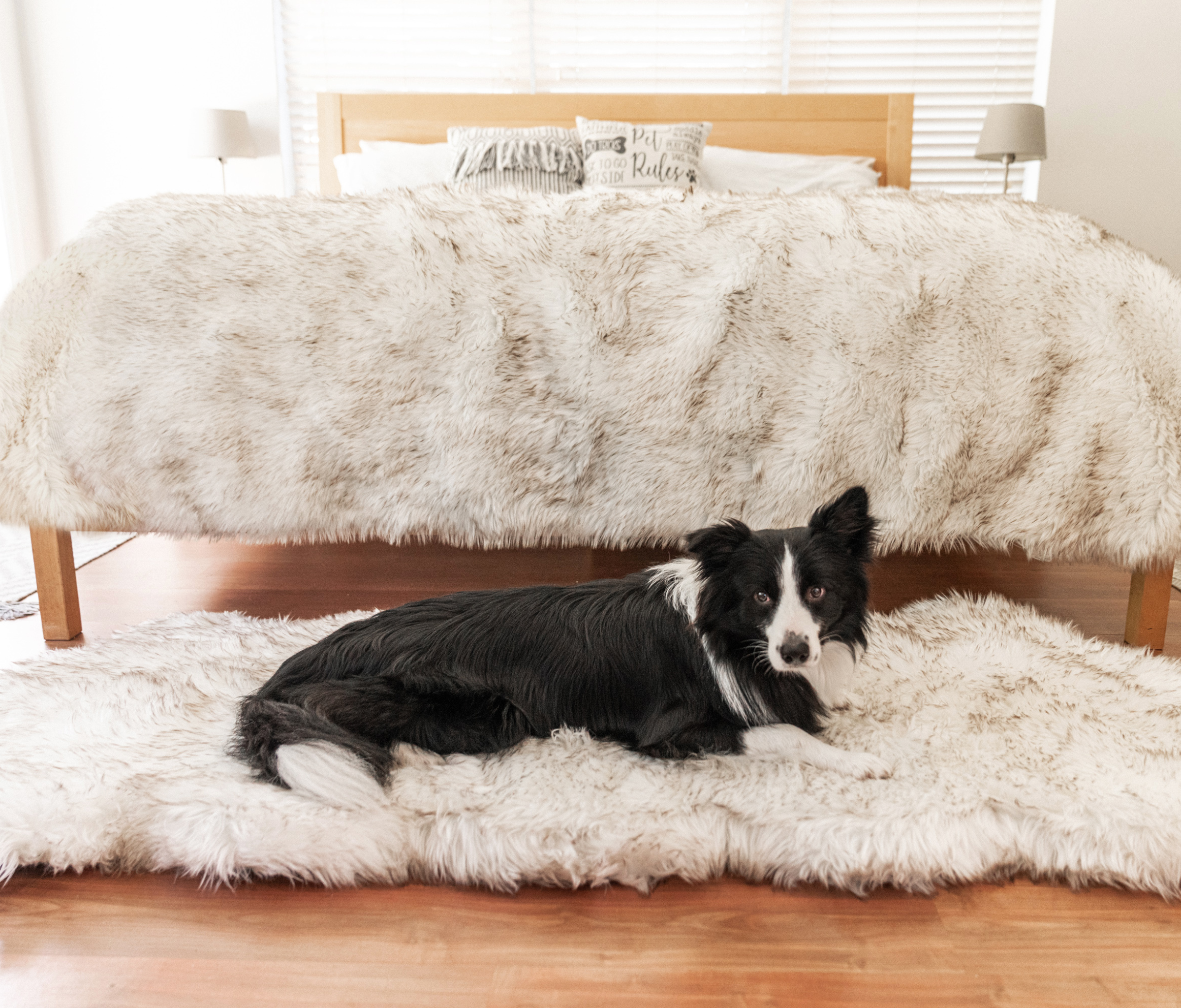 PupRug™ Orthopedic Runner Bed + Matching Waterproof Blanket Bundle - White with Brown Accents、mySite、solidvoid