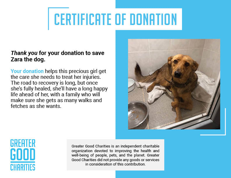 Funded: Give Zara the Chance to Walk Again、mySite、camillekostekn