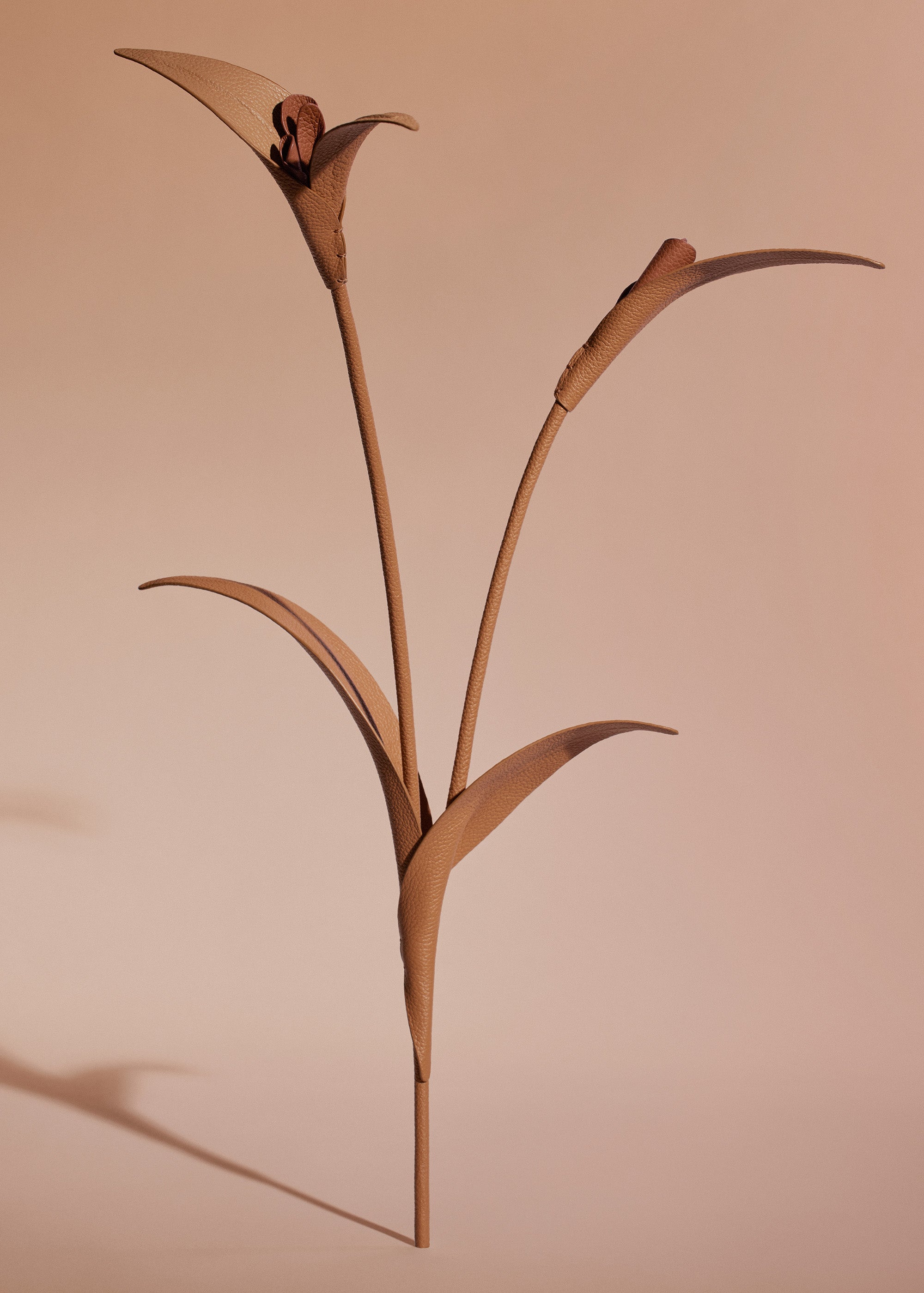 Fleur Touka - Trio Tan Grain茅、mySite、camillekostekn