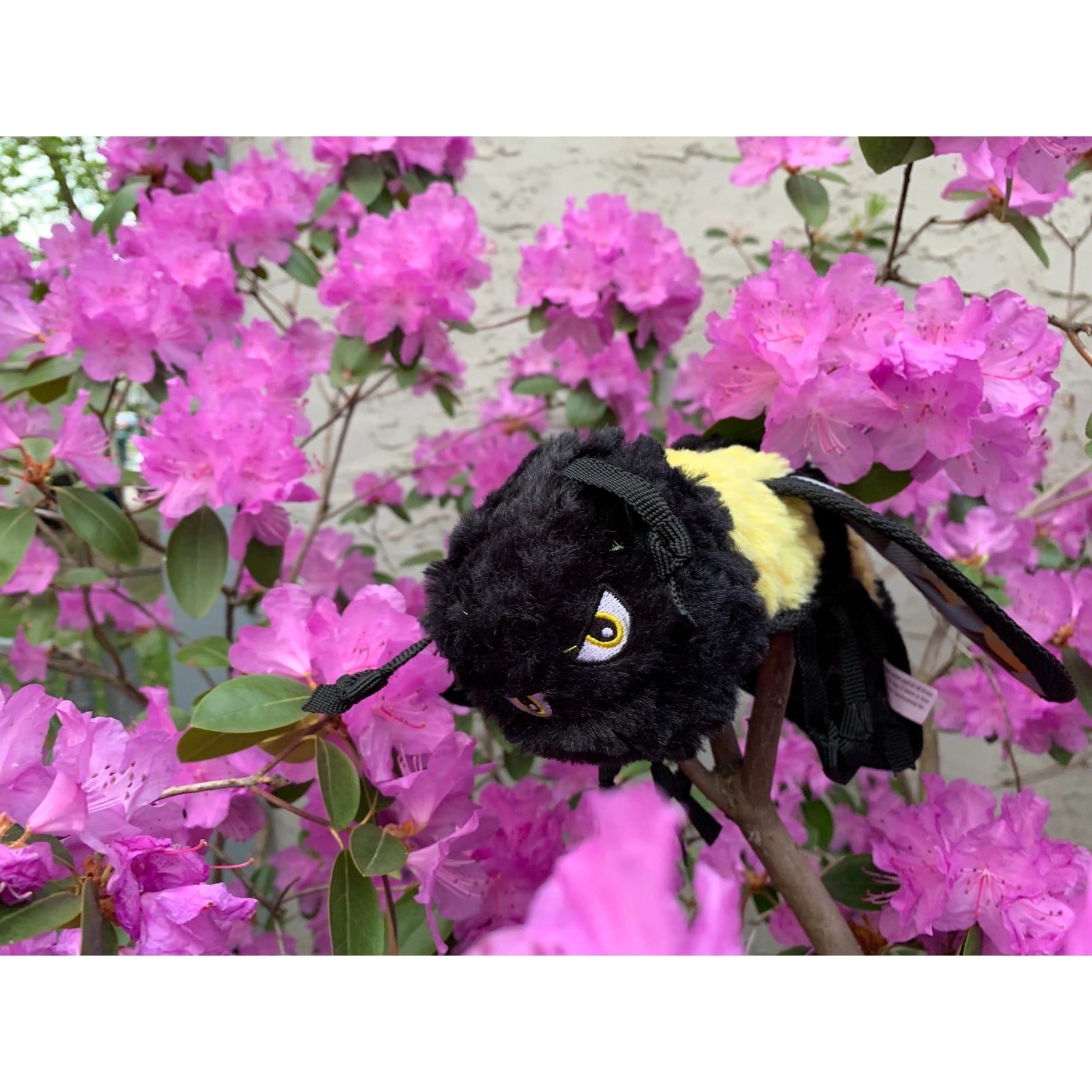 Ruffian Bumble Bee Dog Toy- Durable、mySite、g9winljtr