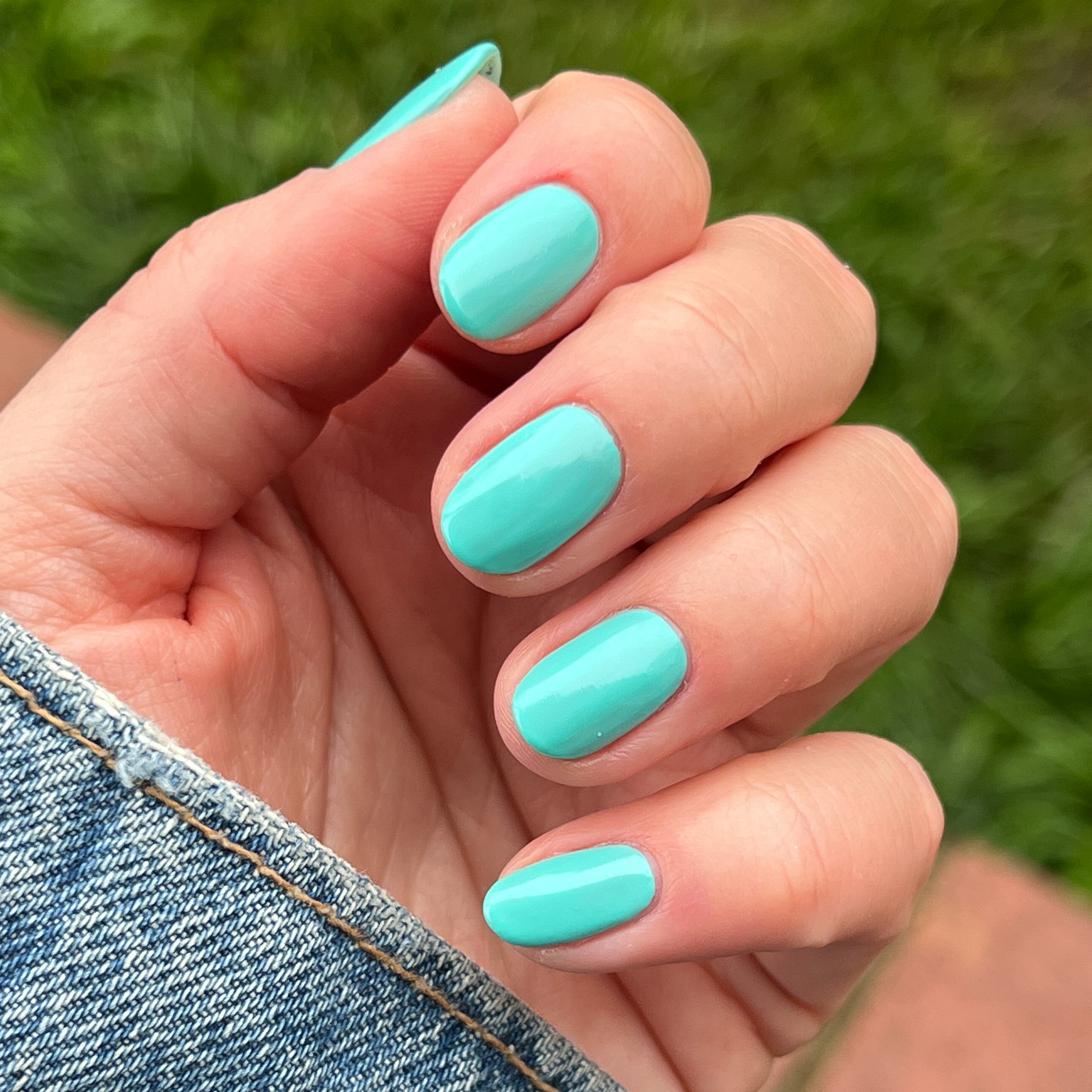 Parakeet、mySite、solidvoid