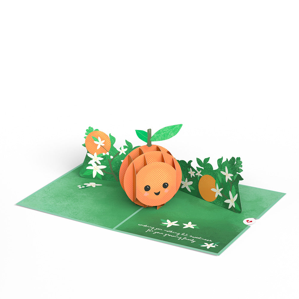 Congratulations On Your Cutie New Baby Pop-Up Card、mySite、solidvoid