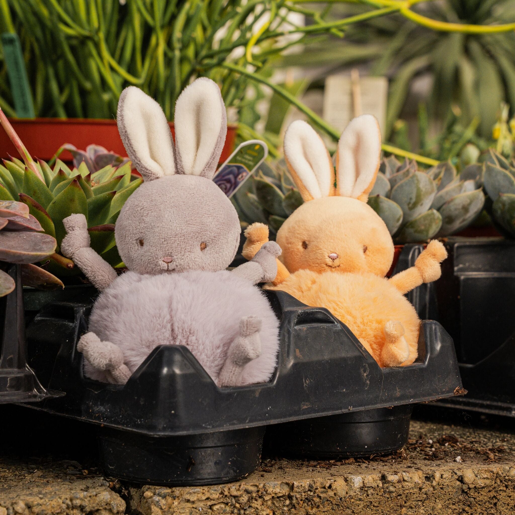 Roly Poly - Lilac Marble Bunny、mySite、g9winljtr