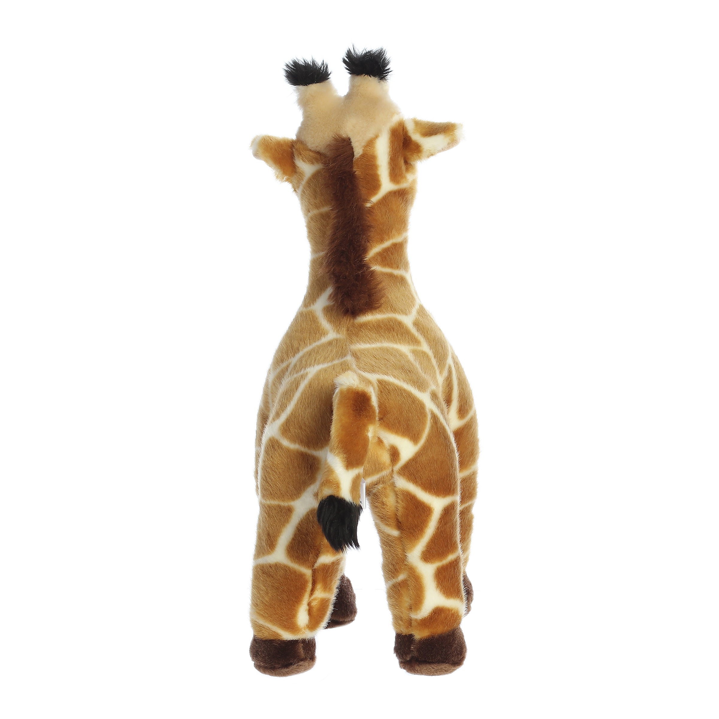 Aurora® - Flopsie™ - 12 Zenith™、mySite、g9winljtr