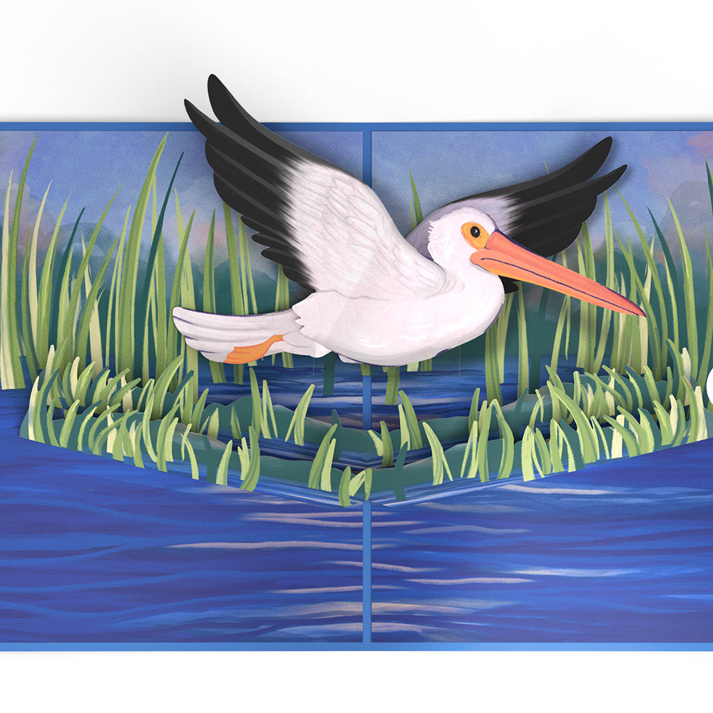 Pelican in the Marsh Pop-Up Card、mySite、solidvoid