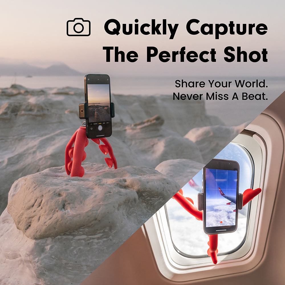 Tenikle PRO - Memorial Day Deal、mySite、fannypackpong