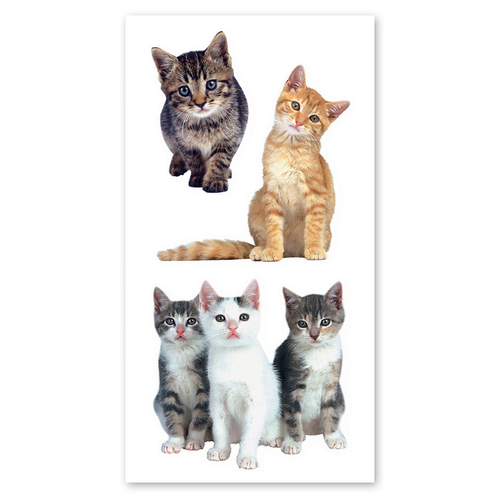  Playful Kittens Stickers、mySite、ghnorth