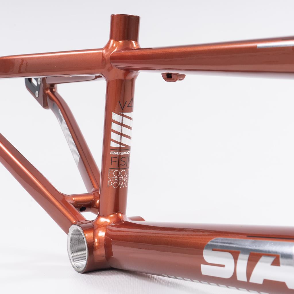  Stay Strong For Life 2023 V4 Expert Race Frame - Disc Version、mySite、merchandisen