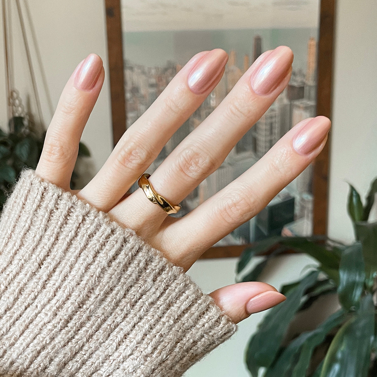 Cookie Swap、mySite、solidvoid