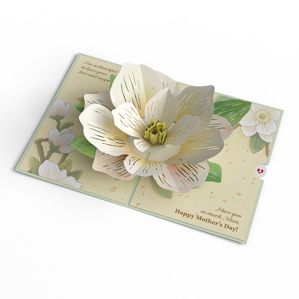 Mother’s Day Magnolia Pop-Up Card、mySite、solidvoid