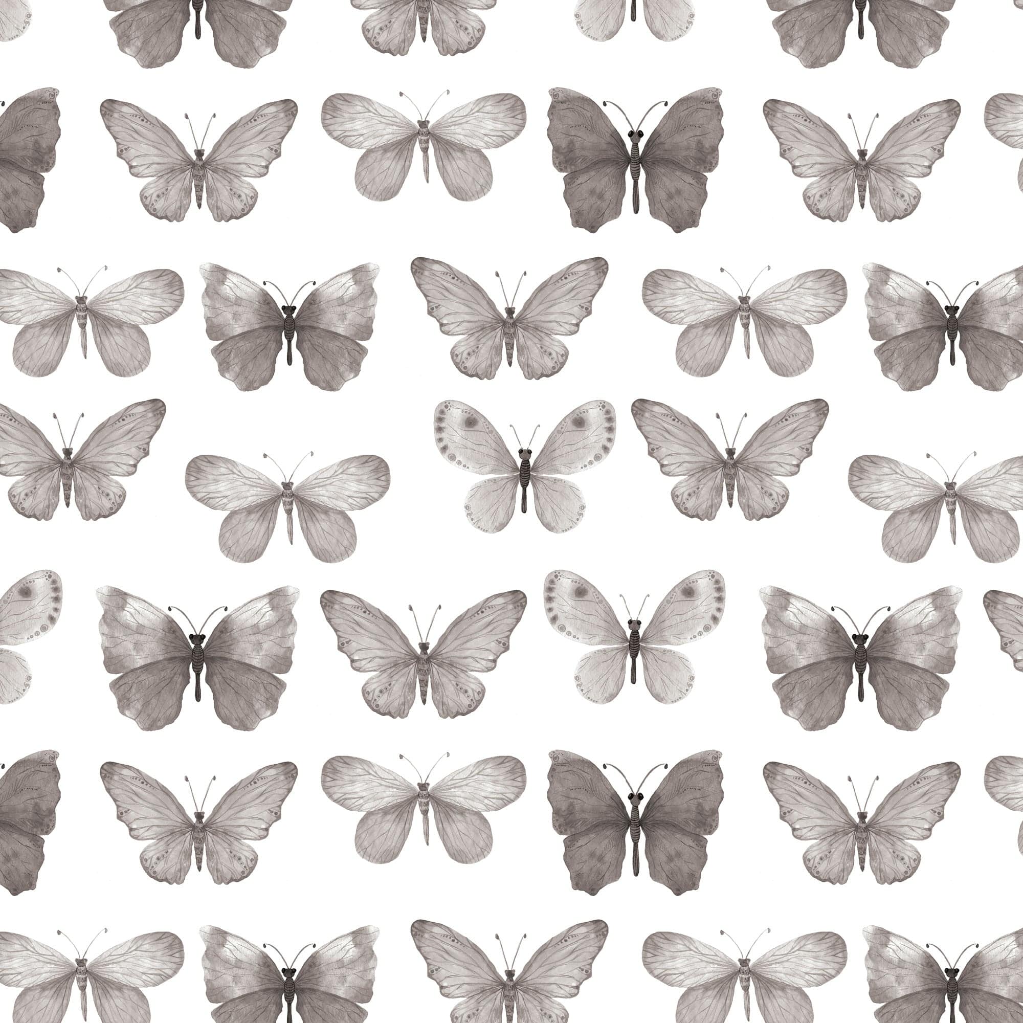  Black Watercolor Butterflies 12 x 12 Paper、mySite、ghnorth