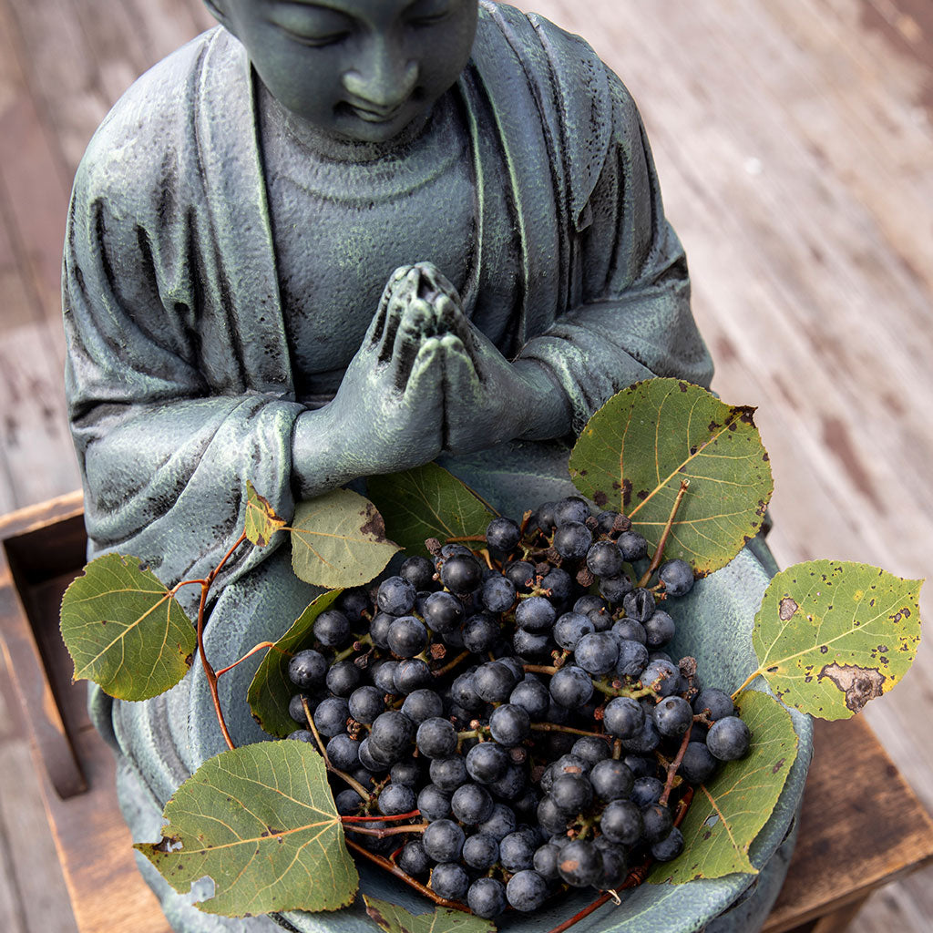 Buddhist Garden Statue: Monk with Bowl、mySite、topwebapps