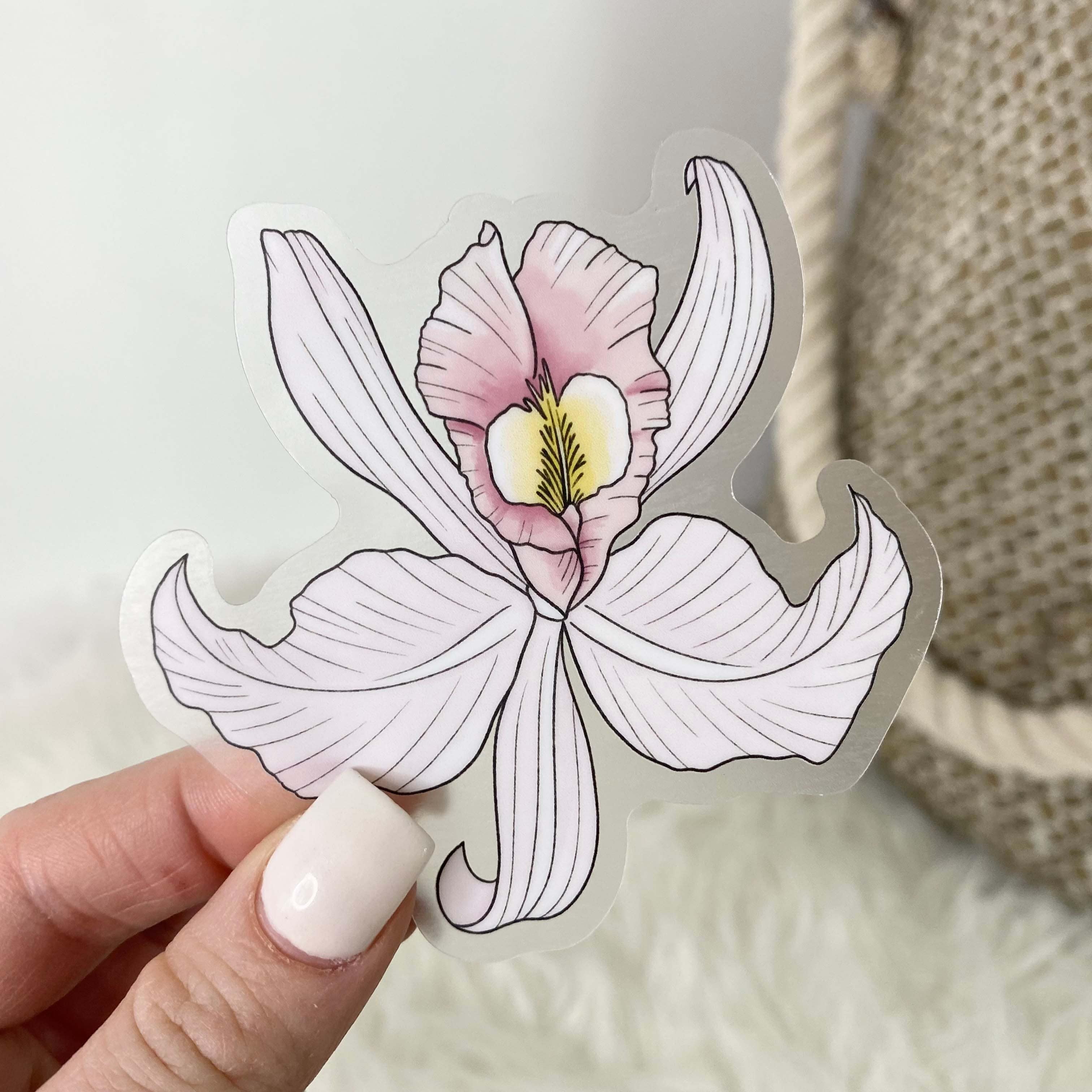  Flor de Mayo - Botanical Clear Sticker、mySite、ghnorth