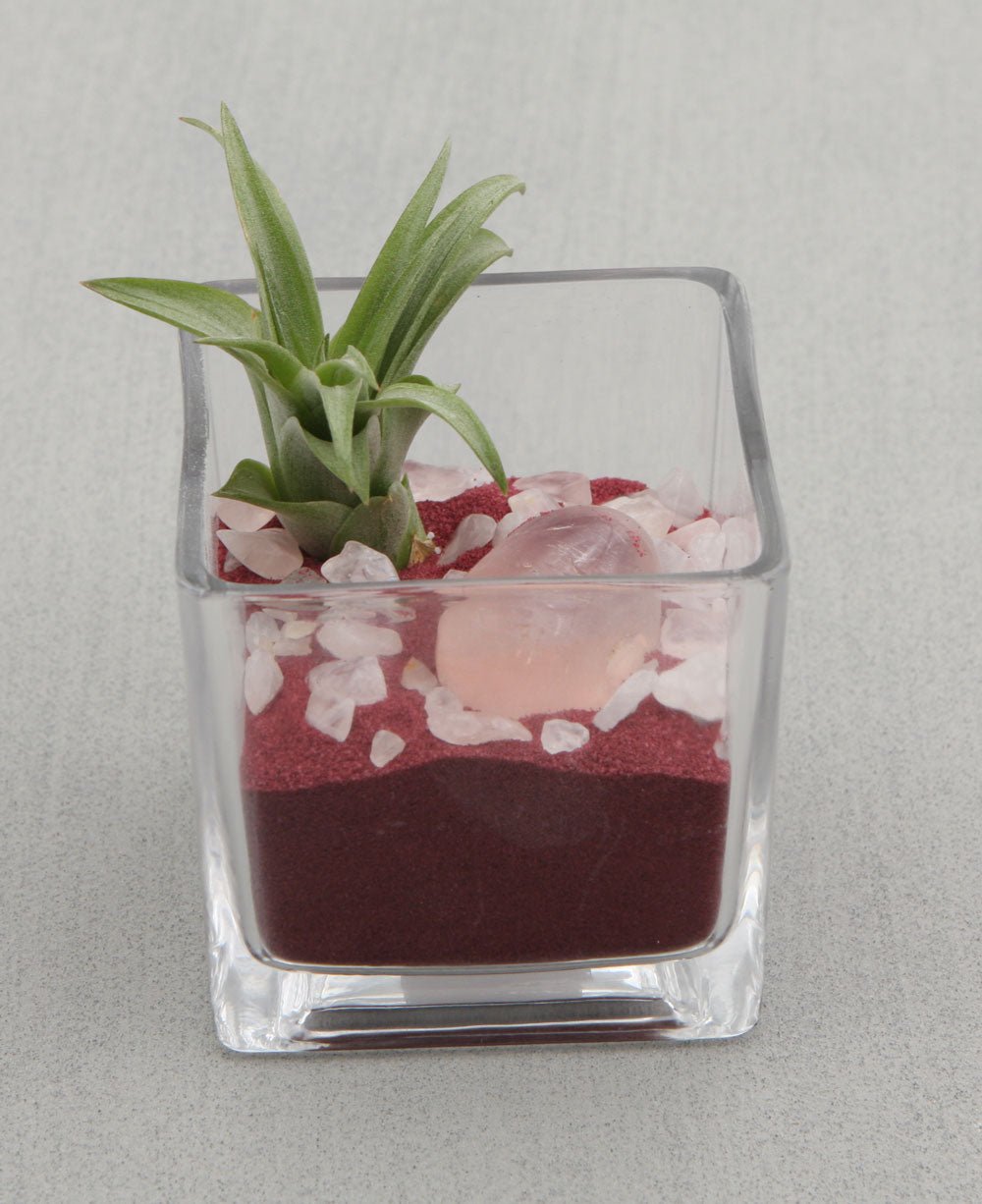 Gemstone Intention Terrarium with Air Plant、mySite、topwebapps