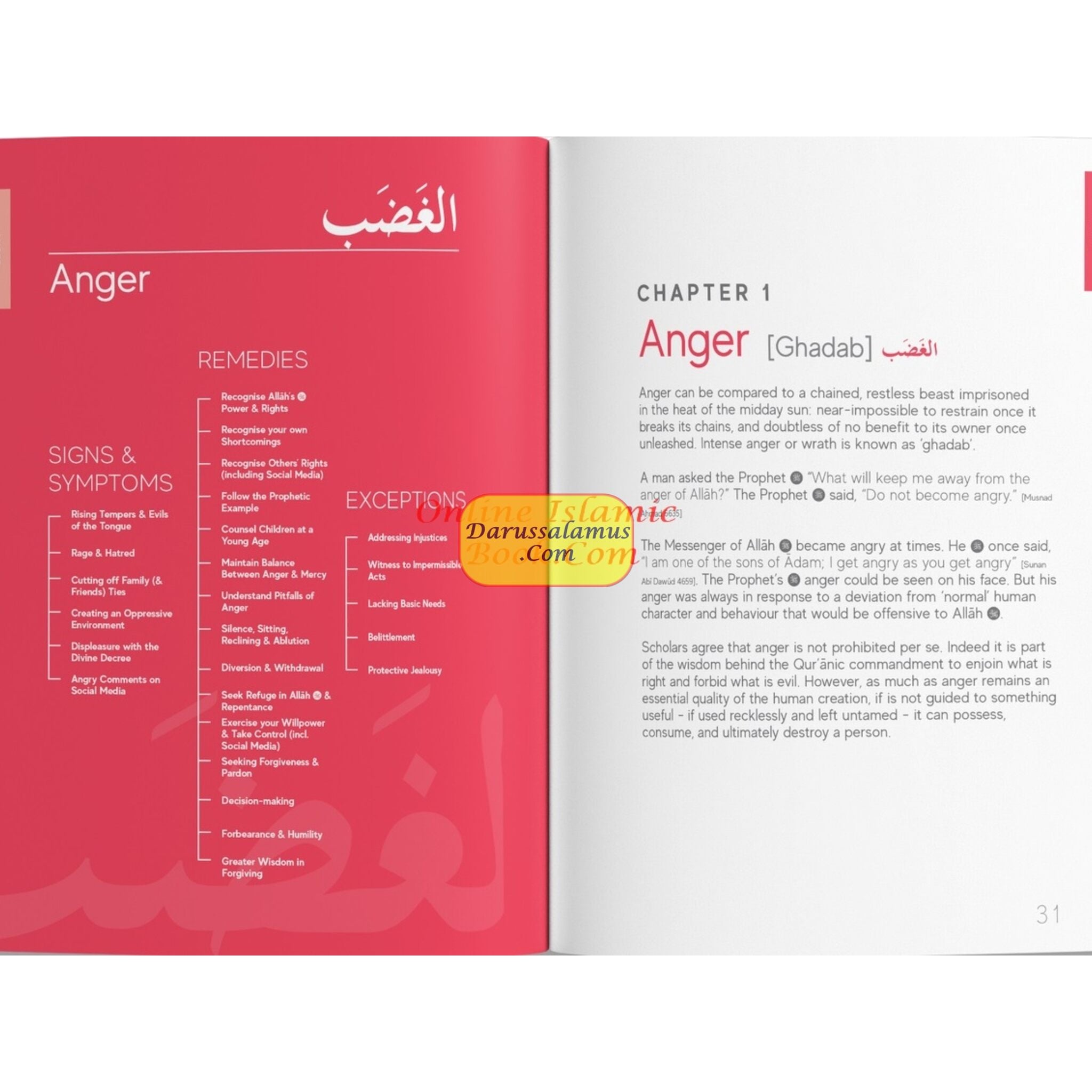 A Handbook Series of Spiritual Medicine and Accepted Prayers by Jamal Parekh (Ibn Daud) (Paperback Gift Box)、mySite、topwebapps