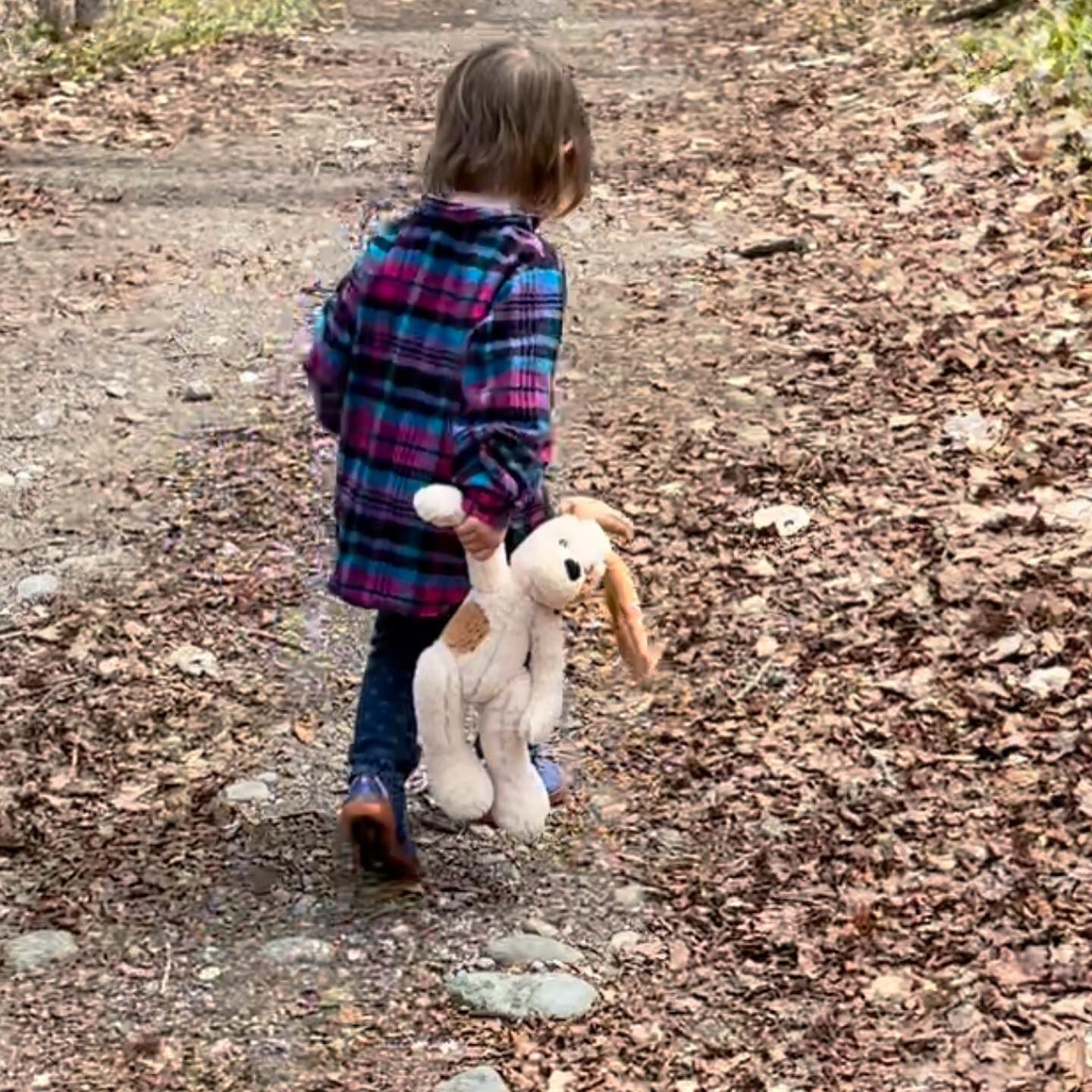 15 In. Buddy Puppy、mySite、pszhyizbm