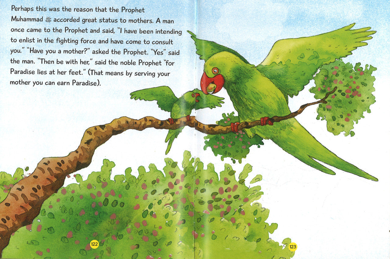 Quran and Seerah Stories - Discover More about the Quran and Prophet Muhammad、mySite、topwebapps