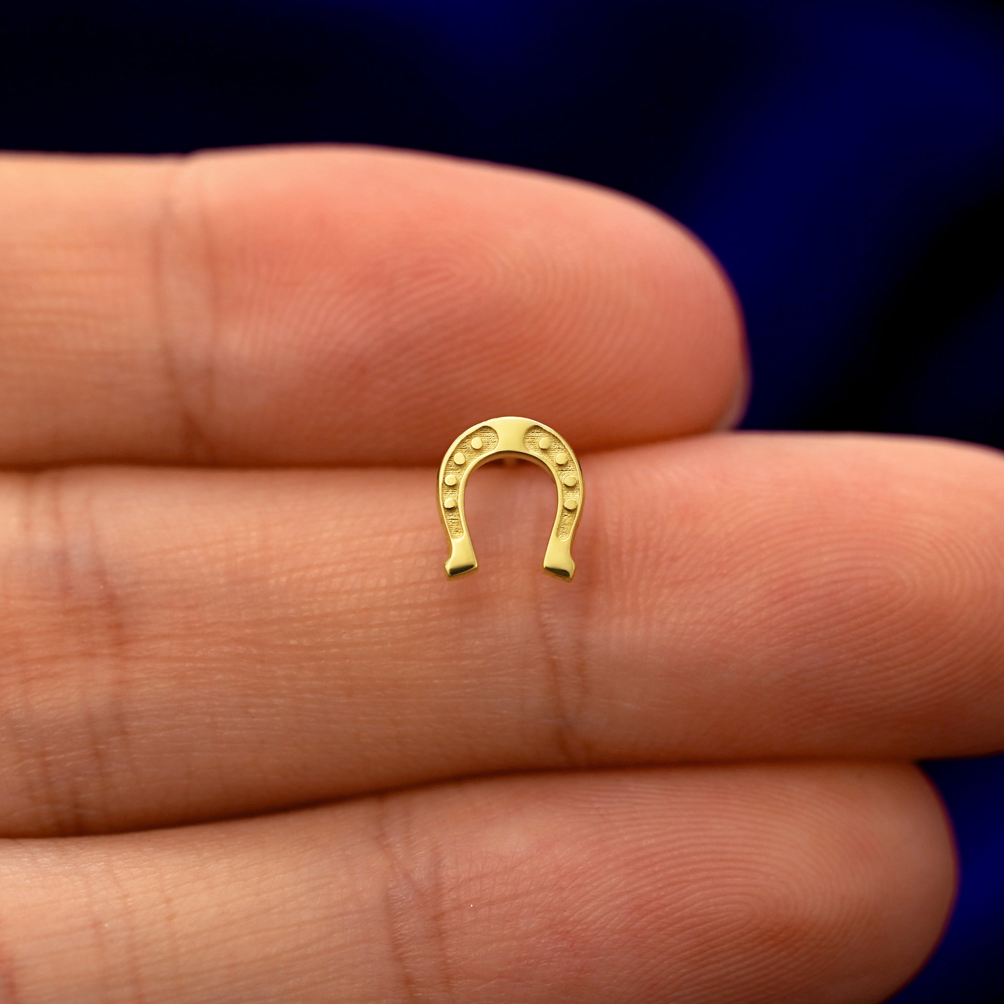 Horseshoe Earring、mySite、hinf8tx79