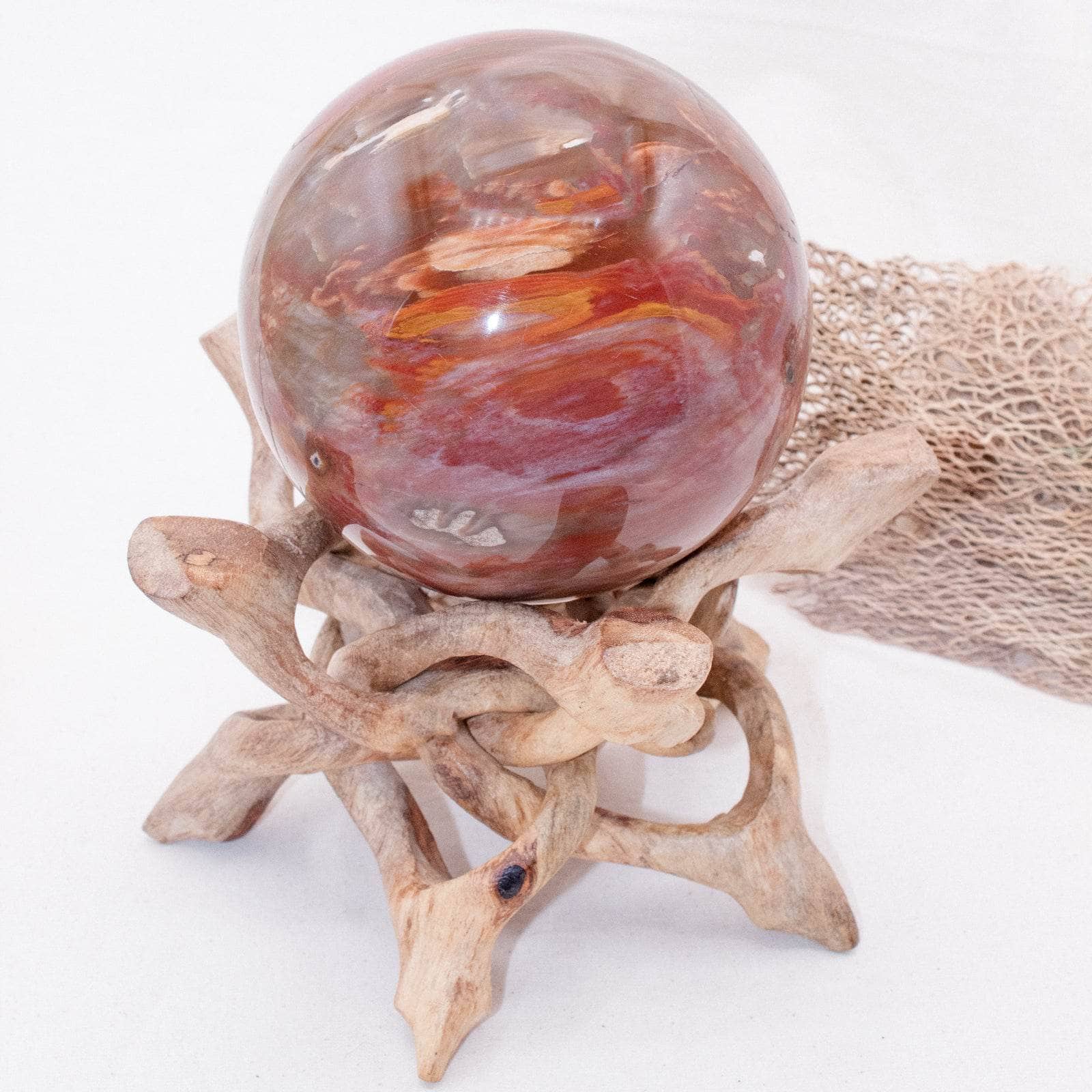 Petrified Wood Sphere - AAA Premium Quality、mySite、hinf8tx79
