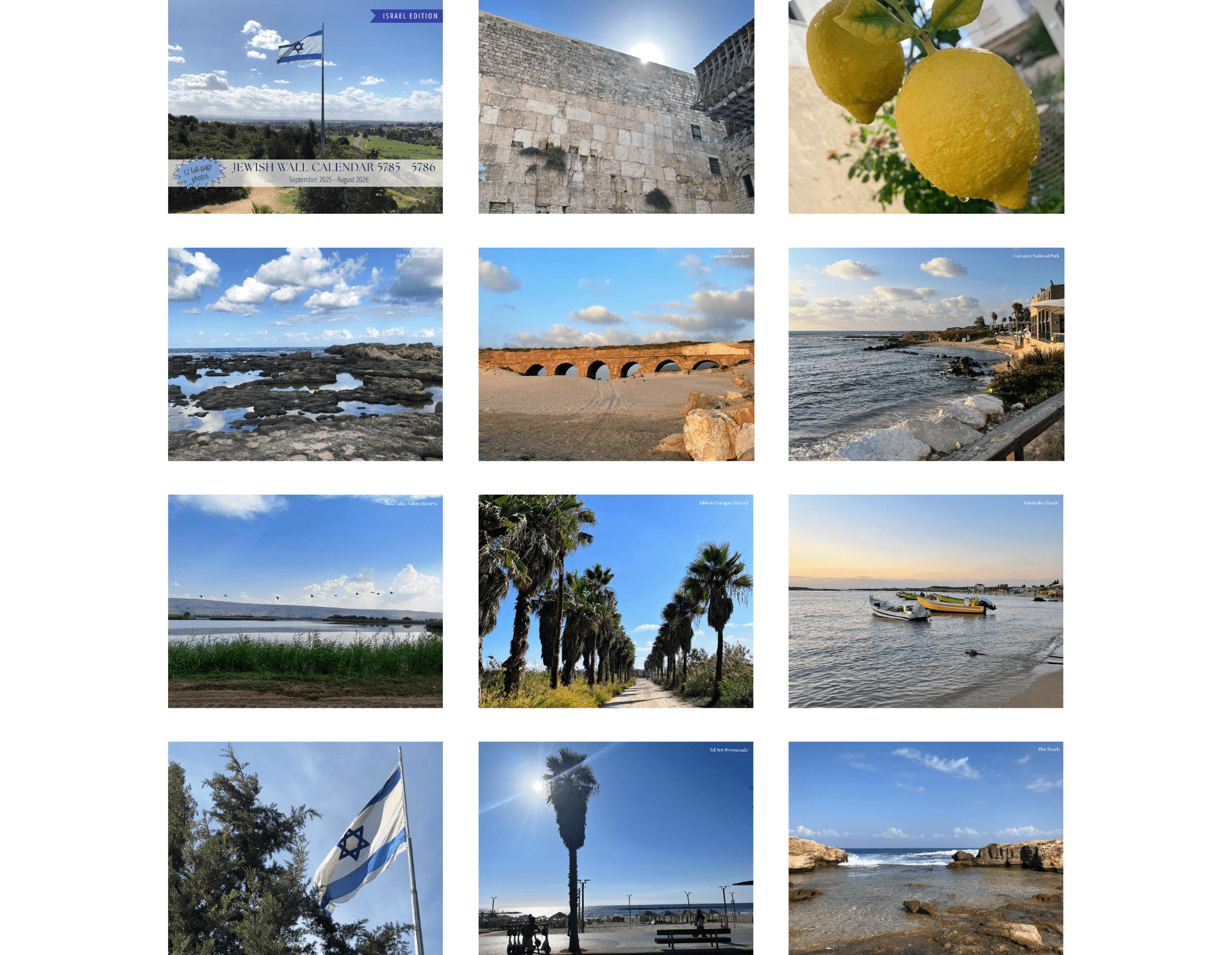 Israel Edition Jewish Wall Calendar 2025-2026 (5786)、mySite、topwebapps