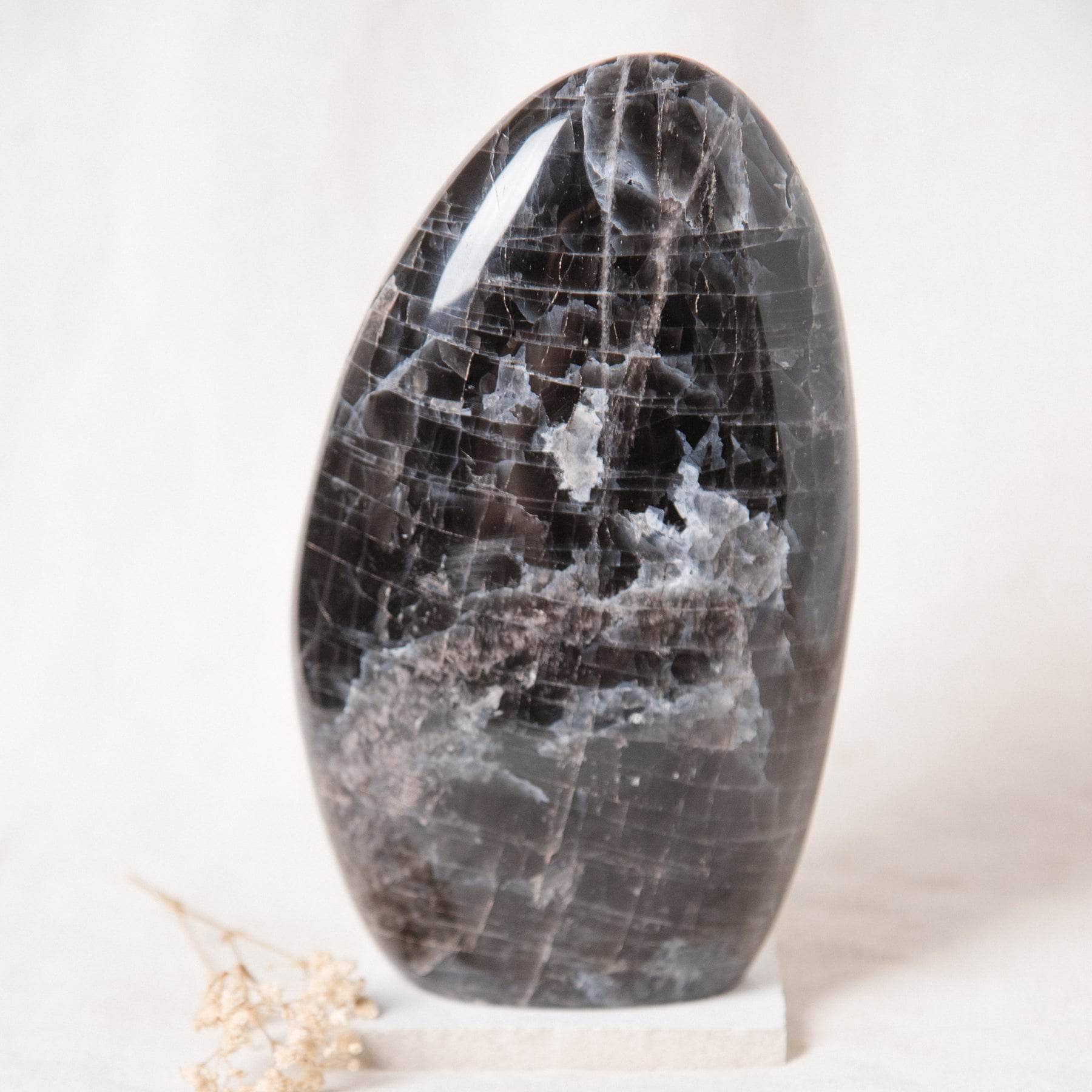 Black Moonstone Freeform - AAA Premium Quality、mySite、hinf8tx79