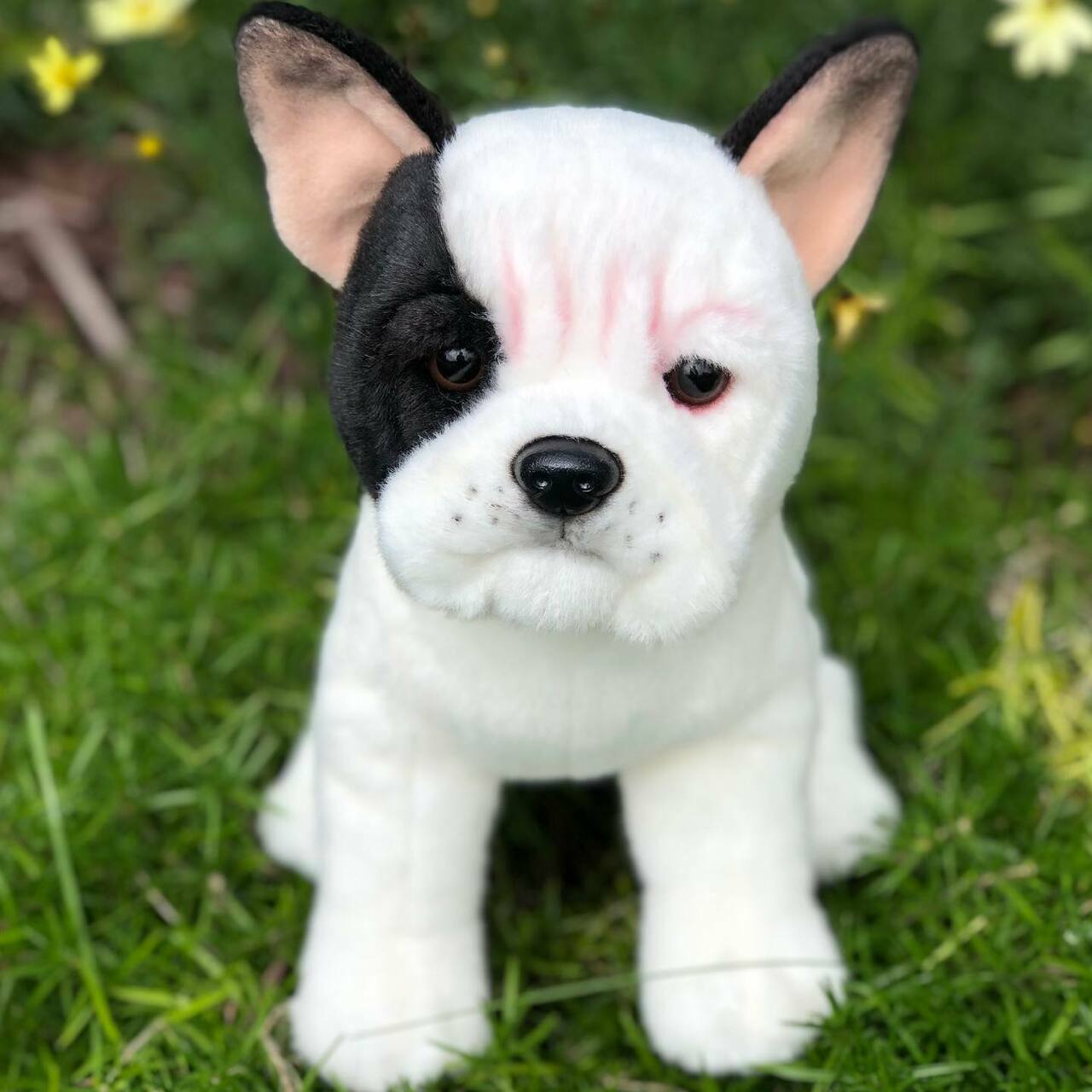 White with Black Spots Plush French Bulldog by Auswella、mySite、g9winljtr