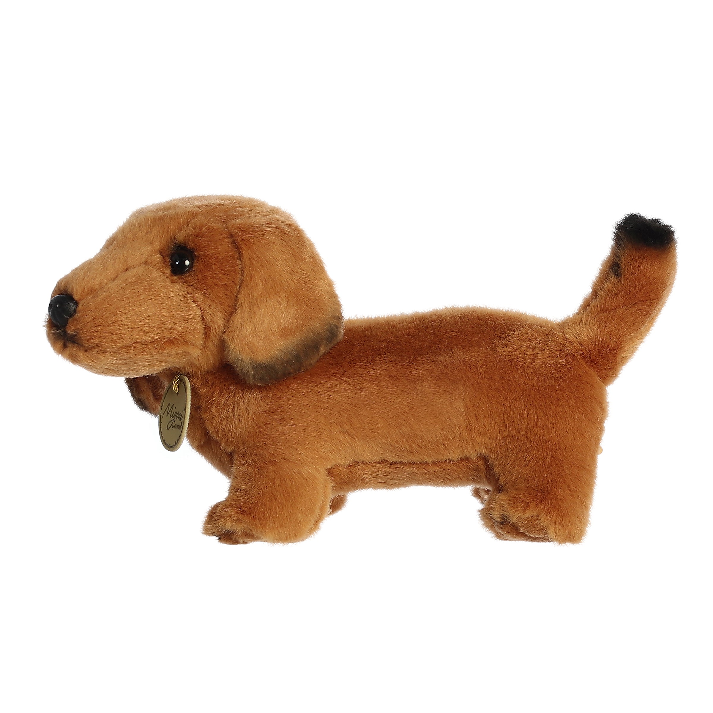 Aurora® - Miyoni® - 8 Dachshund、mySite、g9winljtr