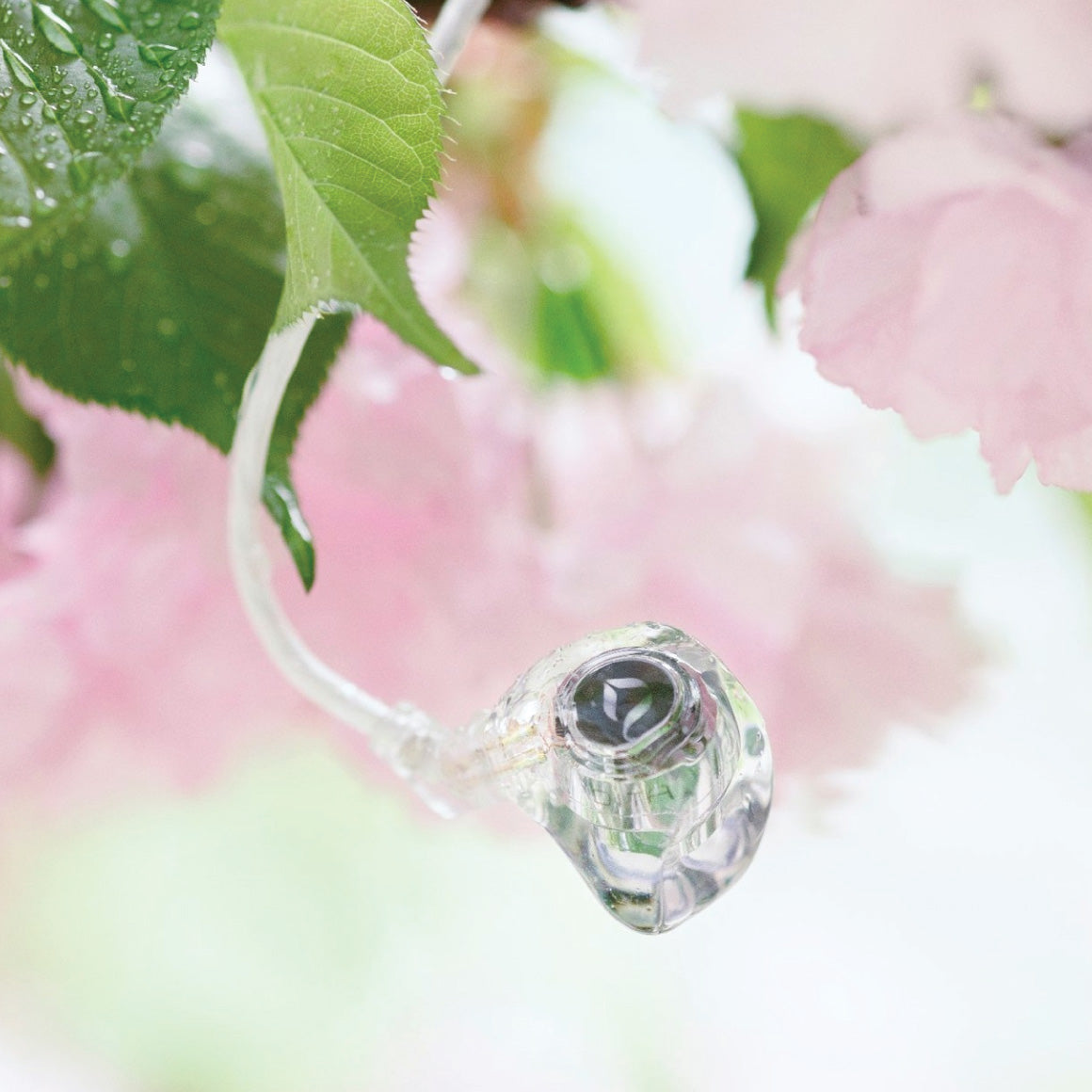  DITA Audio - Project M、mySite、merchandisen