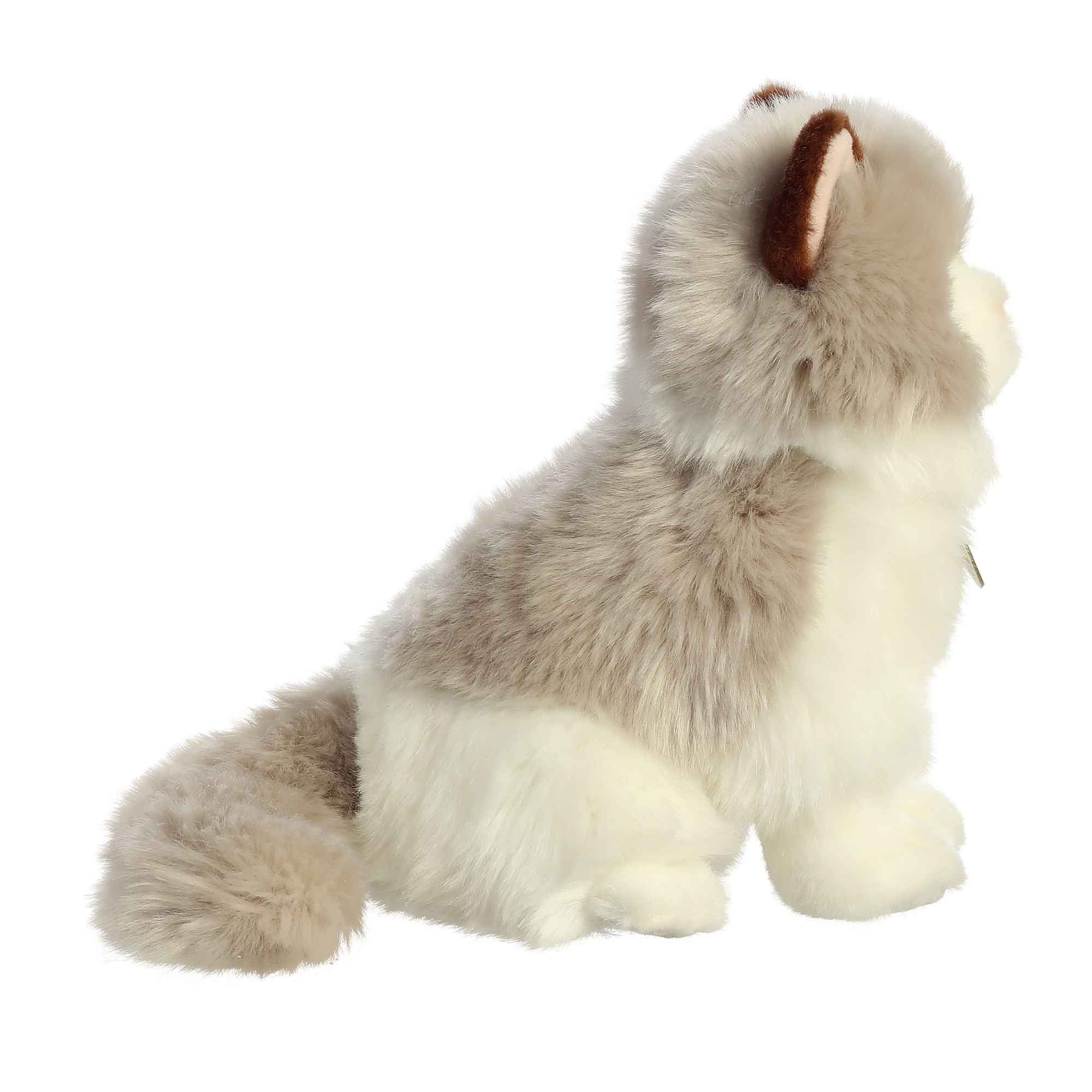 Aurora® - Miyoni® - 9 Ragdoll Cat、mySite、g9winljtr