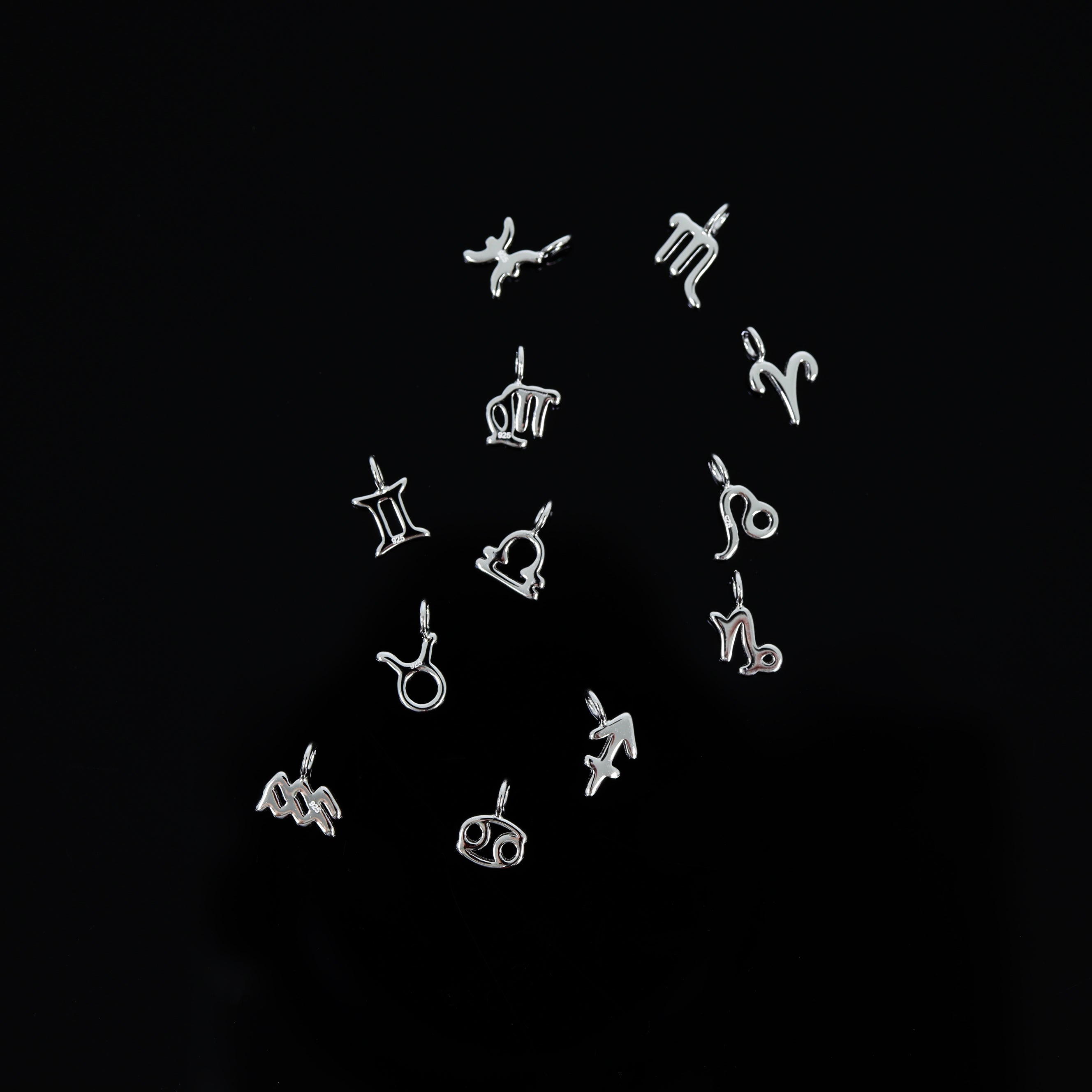 Permanent Jewelry .925 Sterling Silver Zodiac Charms / PMJ3011、mySite、dreamappss