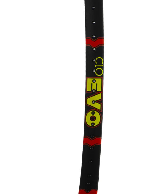 Volkl C10 EVO - Demo Rental
