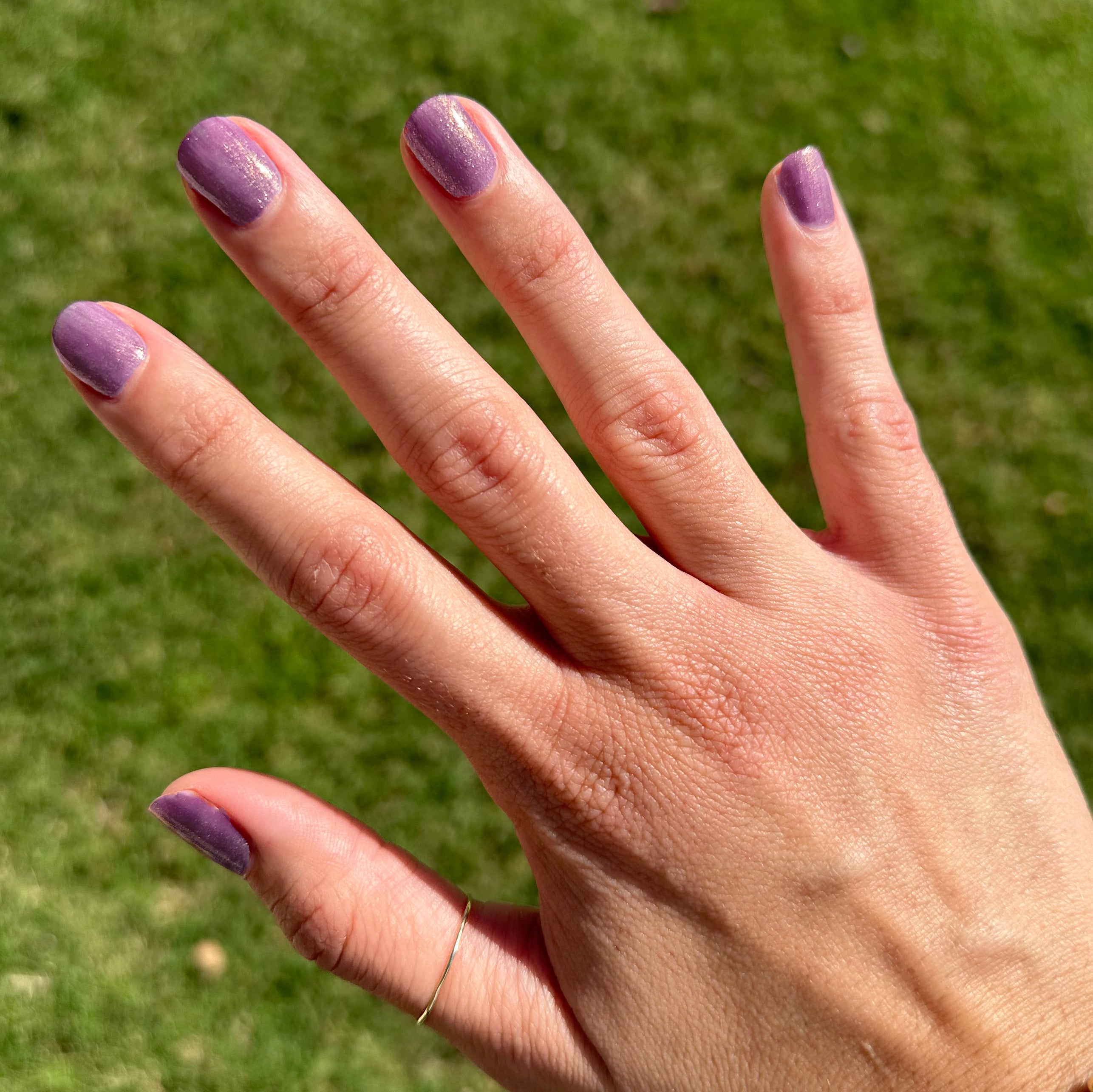 Sugar Plum Fairy、mySite、solidvoid