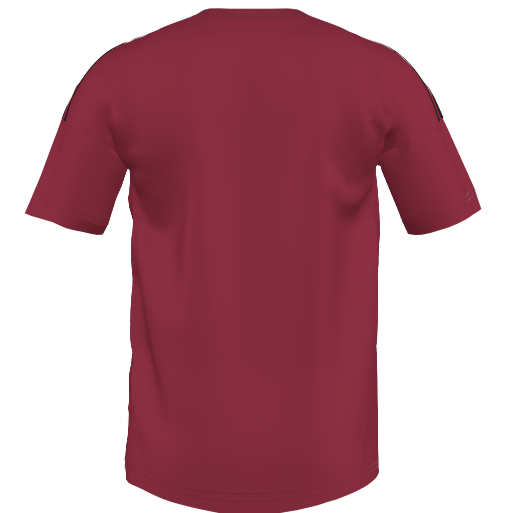 Tiro 24 Custom Jersey Red Star - Red、mySite、noshort