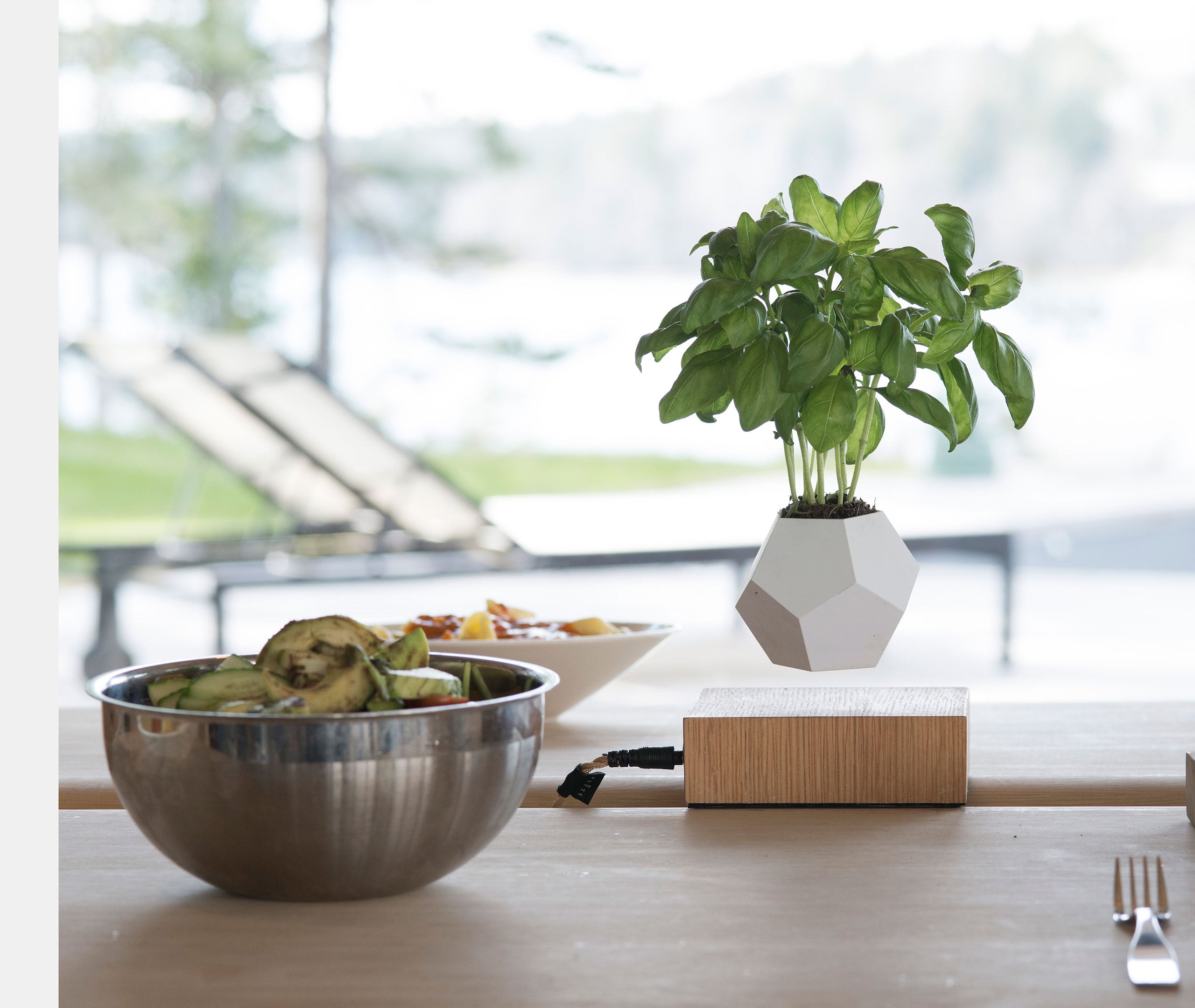 Lyfe Planter - Oak、mySite、topwebapps