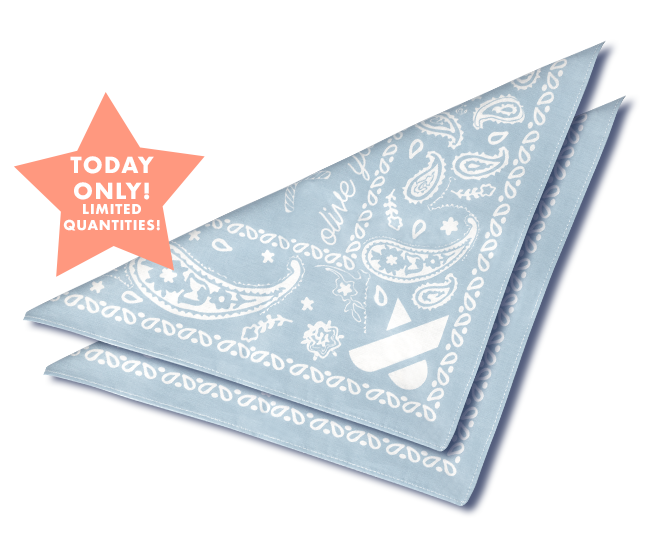 Free Bandana、mySite、solidvoid