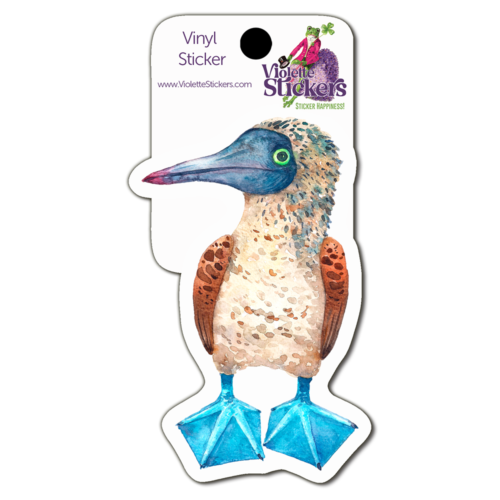  Blue Booby Vinyl Sticker Decal、mySite、ghnorth
