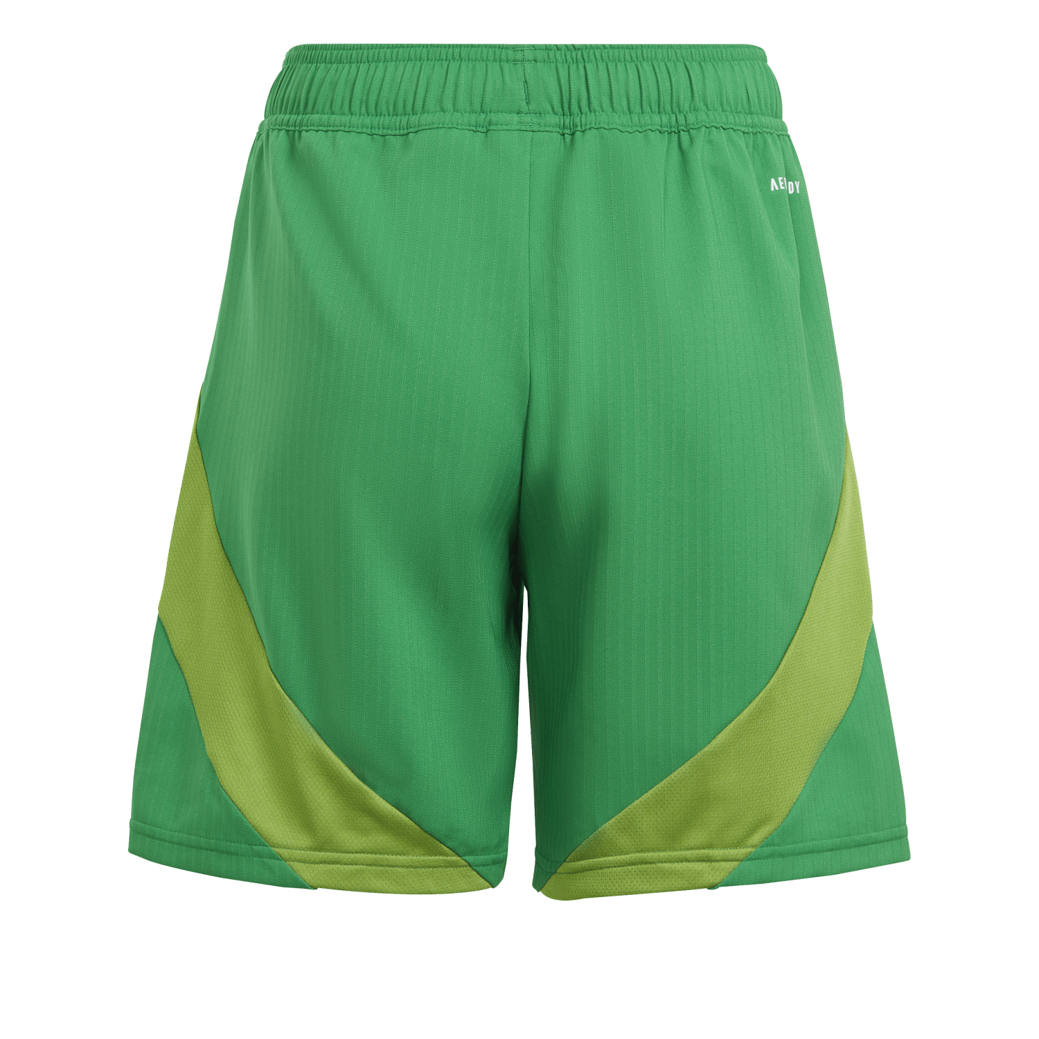 adidas Youth Tiro 24 Competition Match Shorts - Green、mySite、noshort